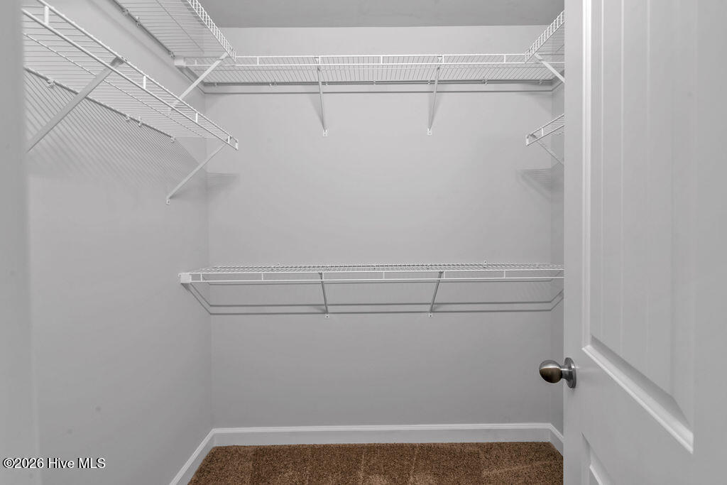 100558571 | Photo 20