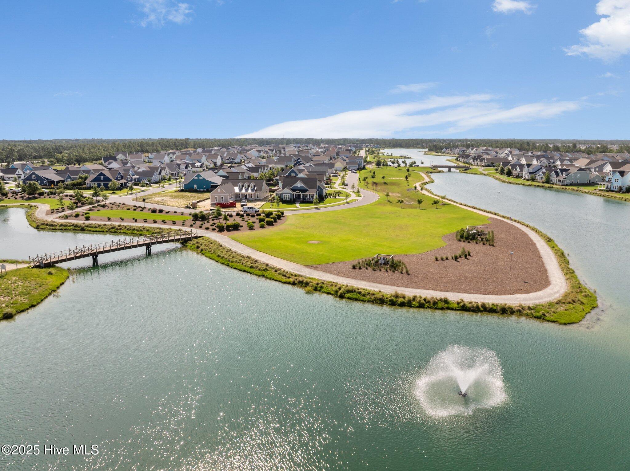 100515846 | Photo 49