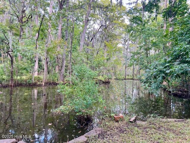 Homes for sale in Washington, NC | 220 River Rd, Washington, NC 27889 | MLS# 100527138