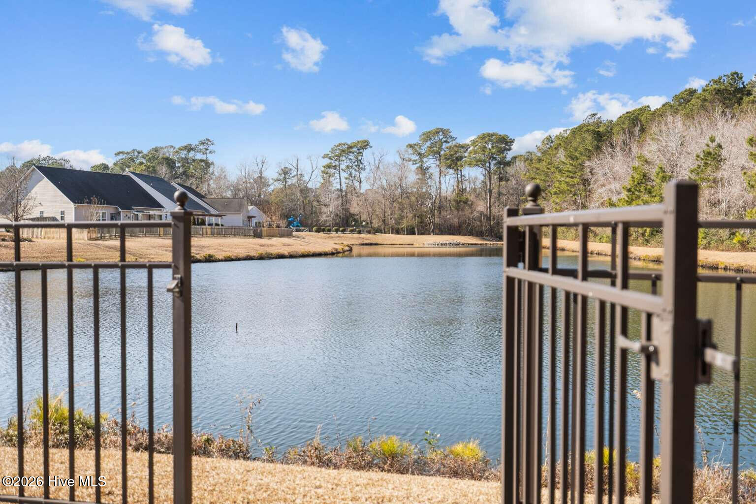 100553422 | Photo 11