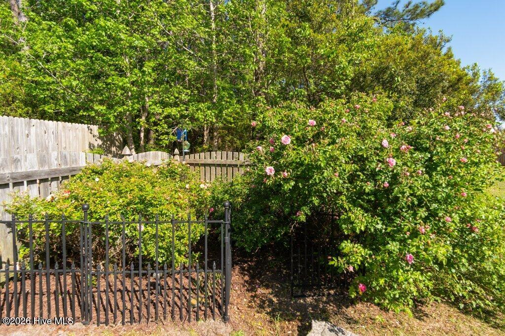 100569625 | Photo 50