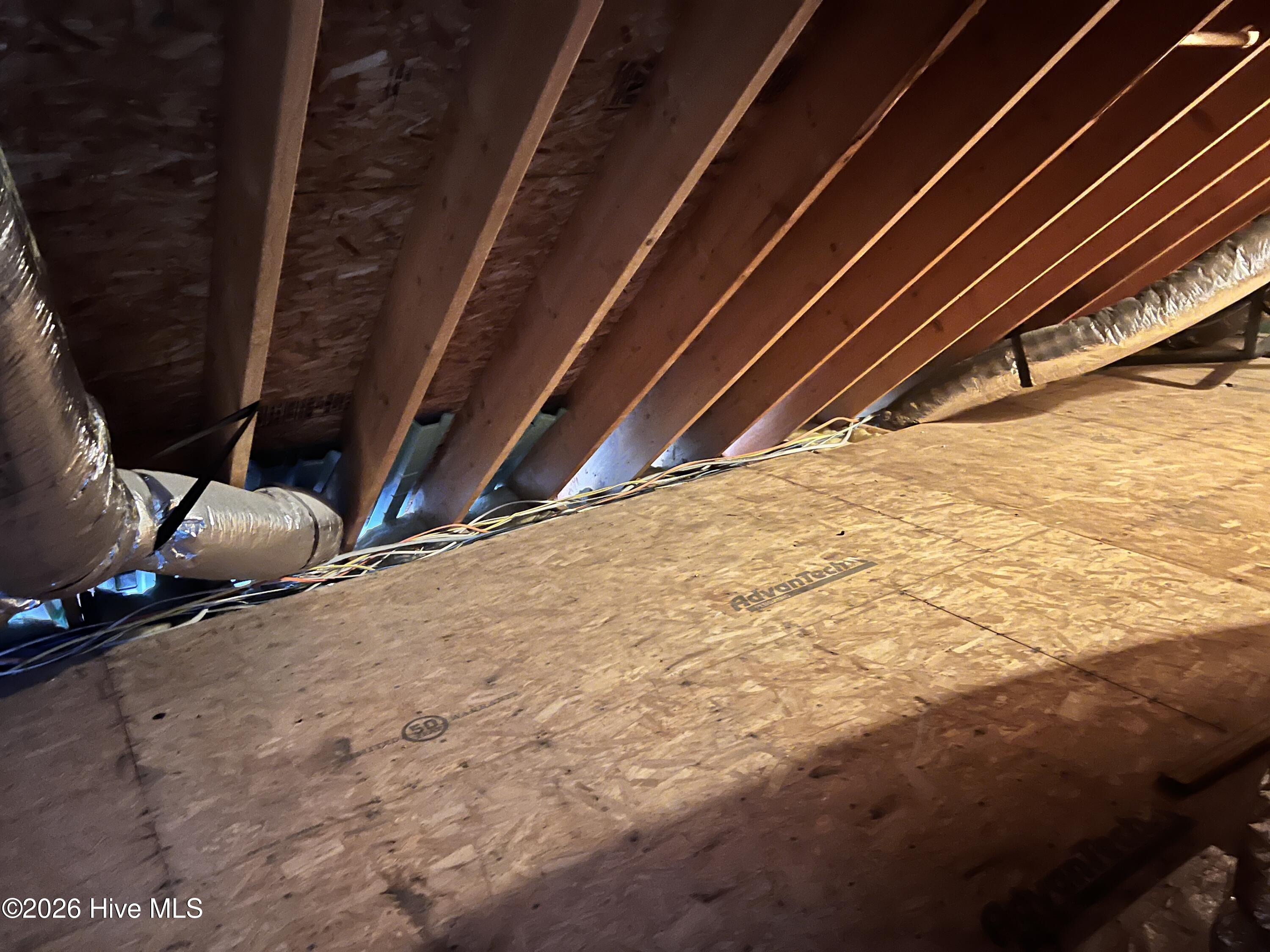 100555506 | Photo 19