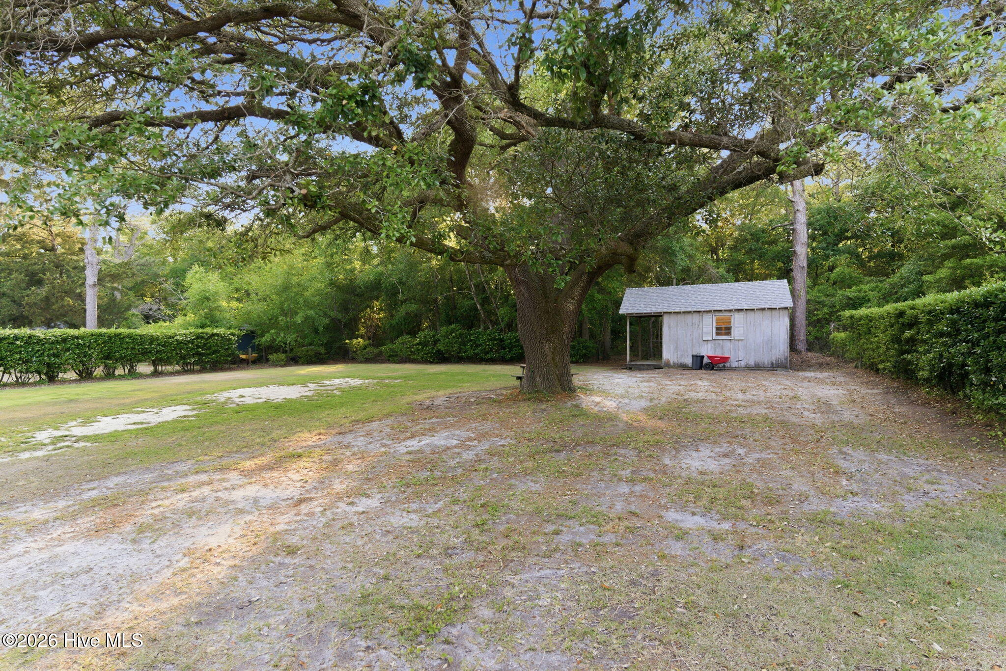 100569519 | Photo 43