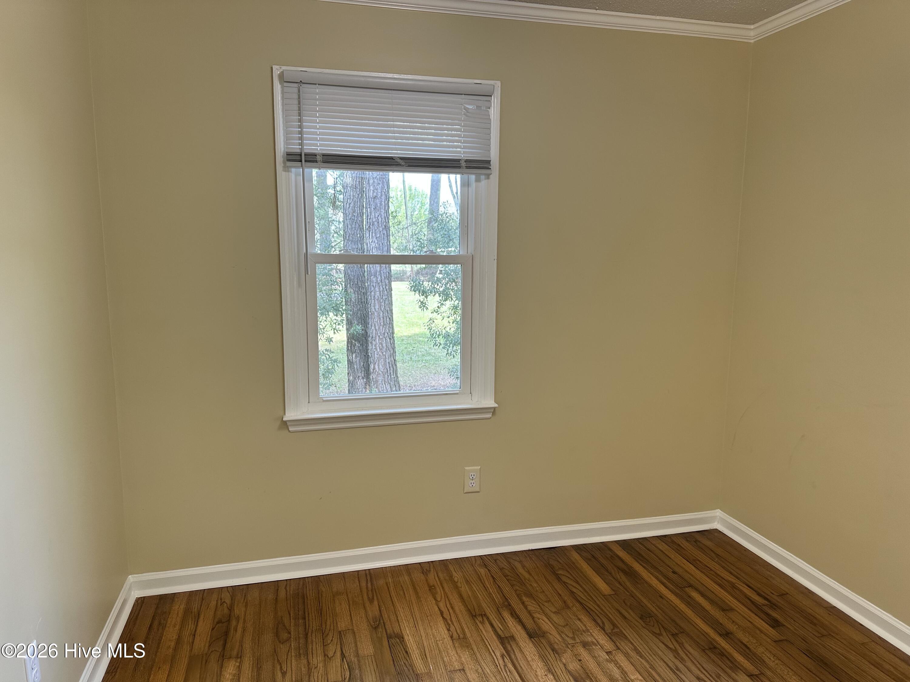 100562278 | Photo 13