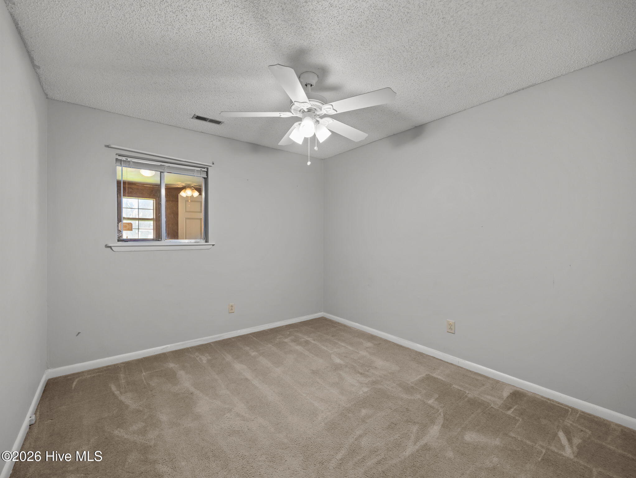 100564888 | Photo 24