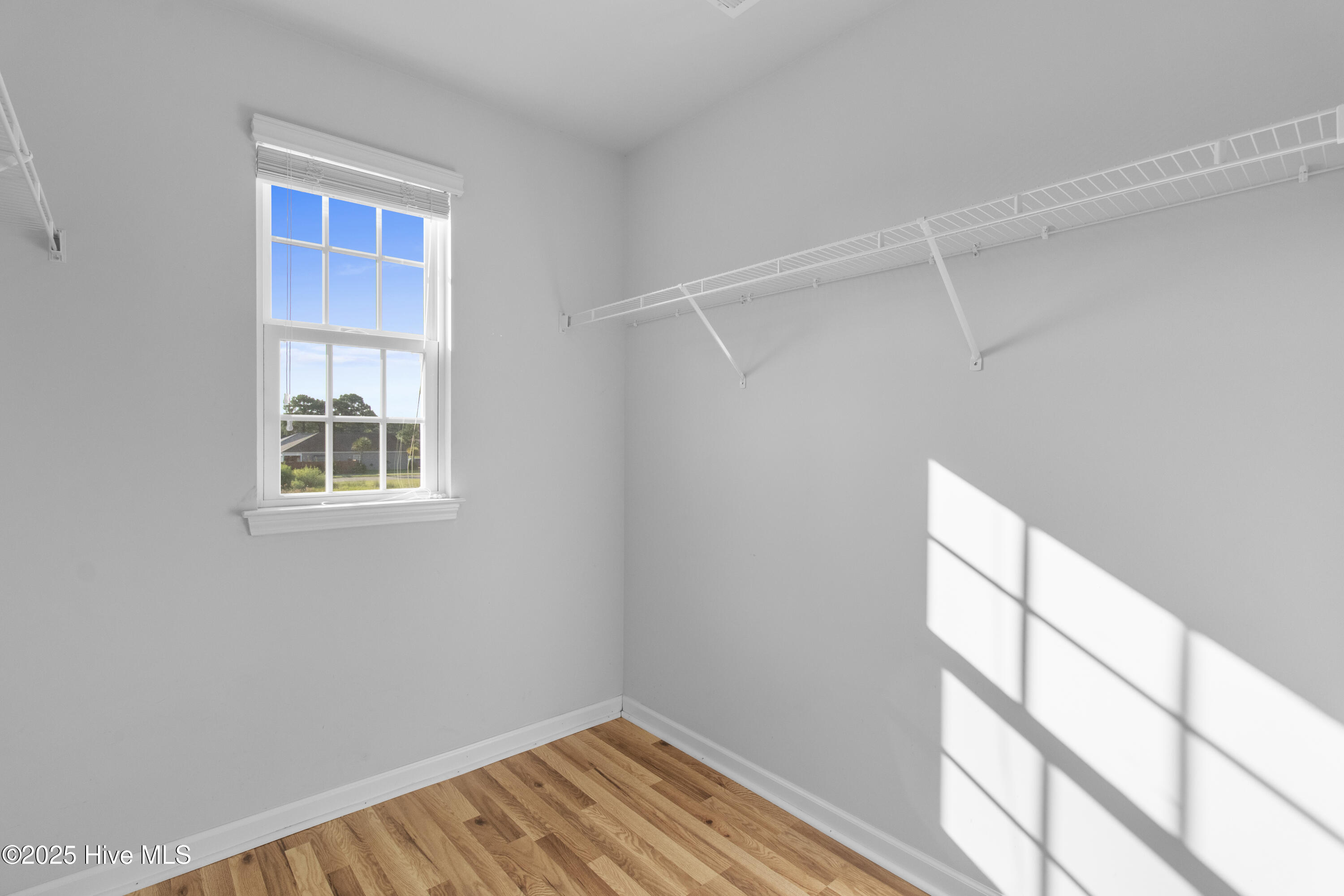 100525996 | Photo 31