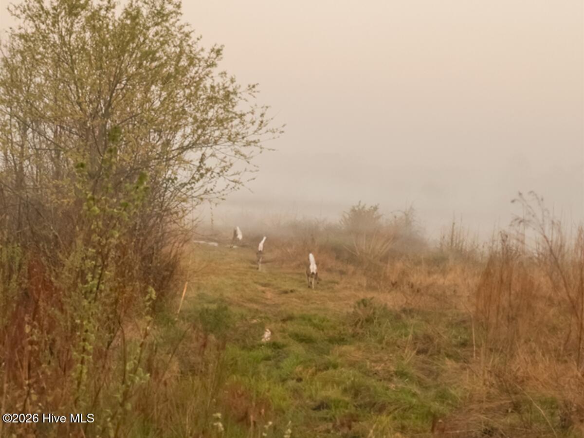 0 Durwood Evans Road, Beulaville, NC, 28518