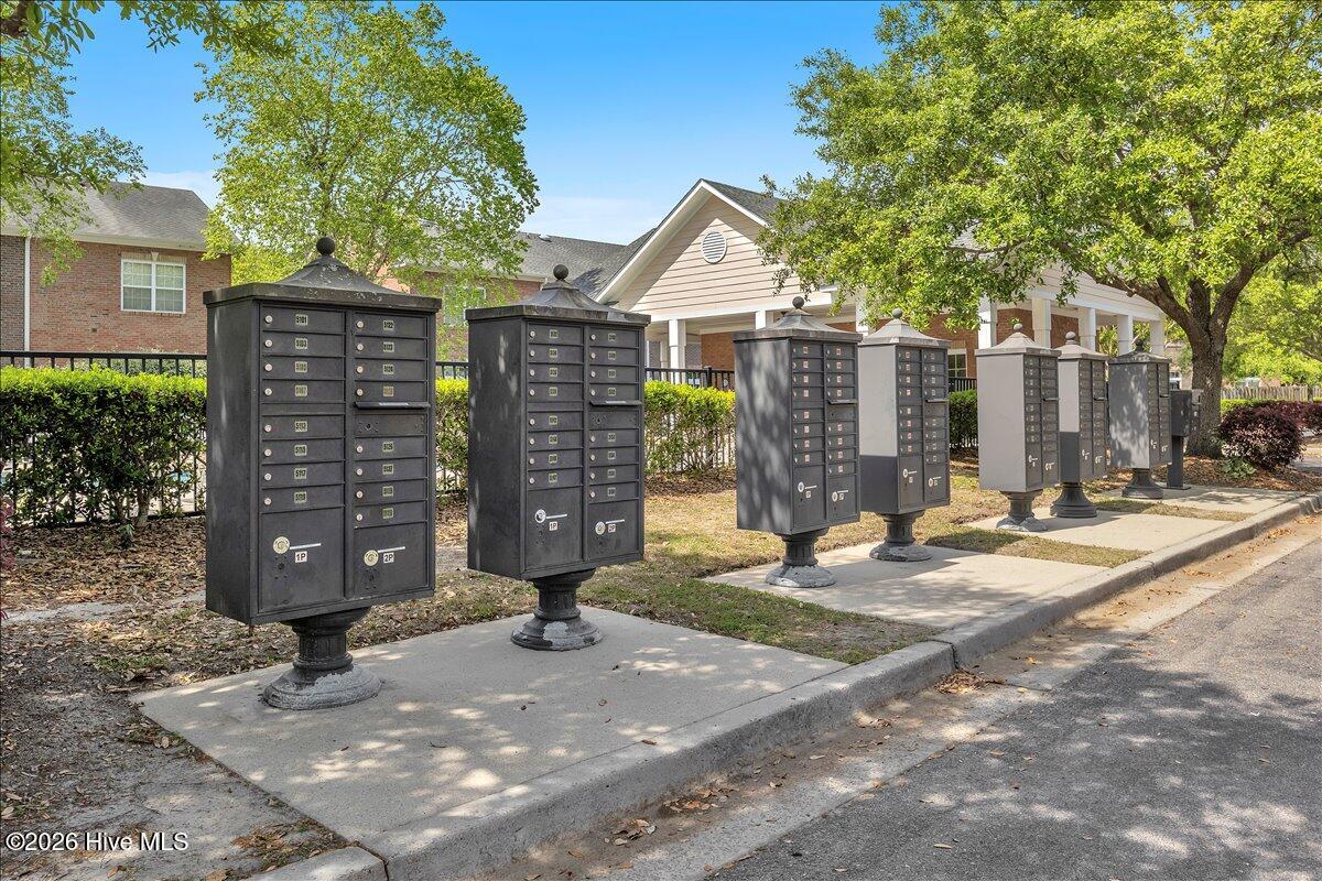 100567223 | Photo 42