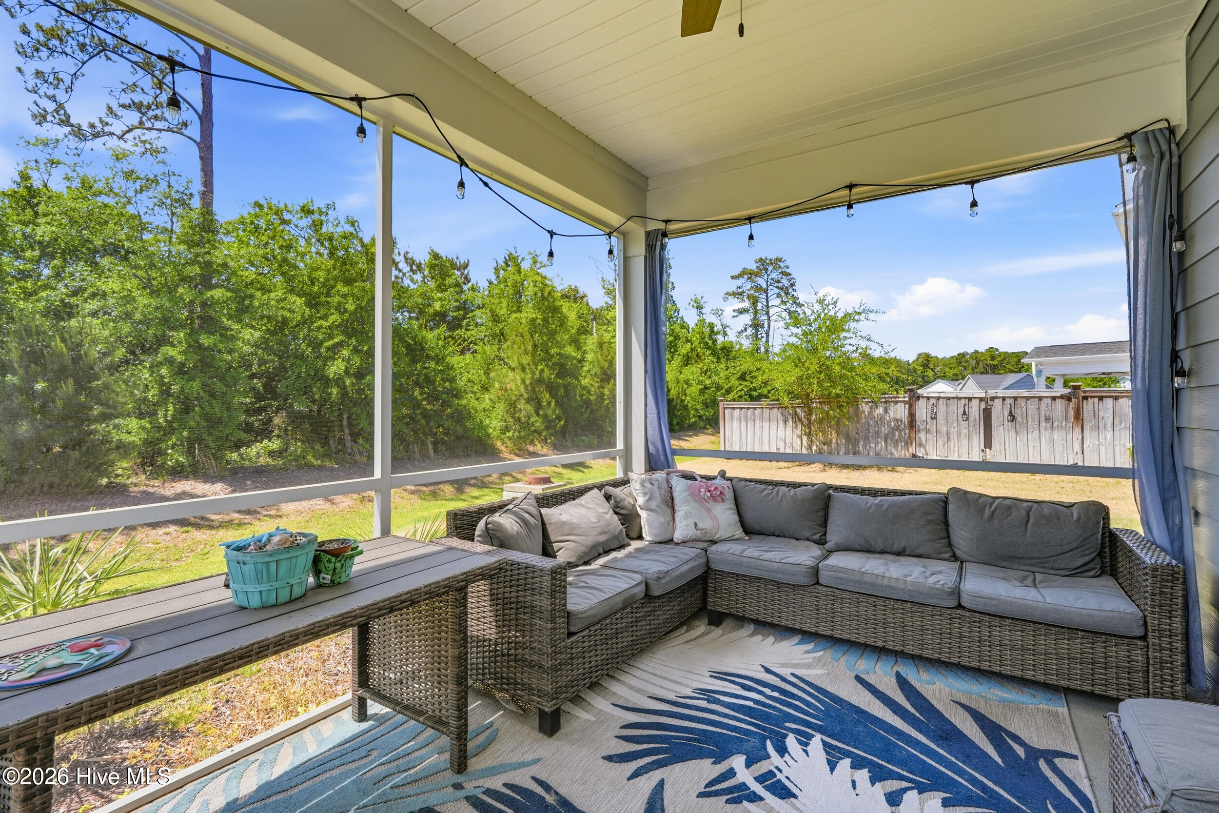 100570242 | Photo 32