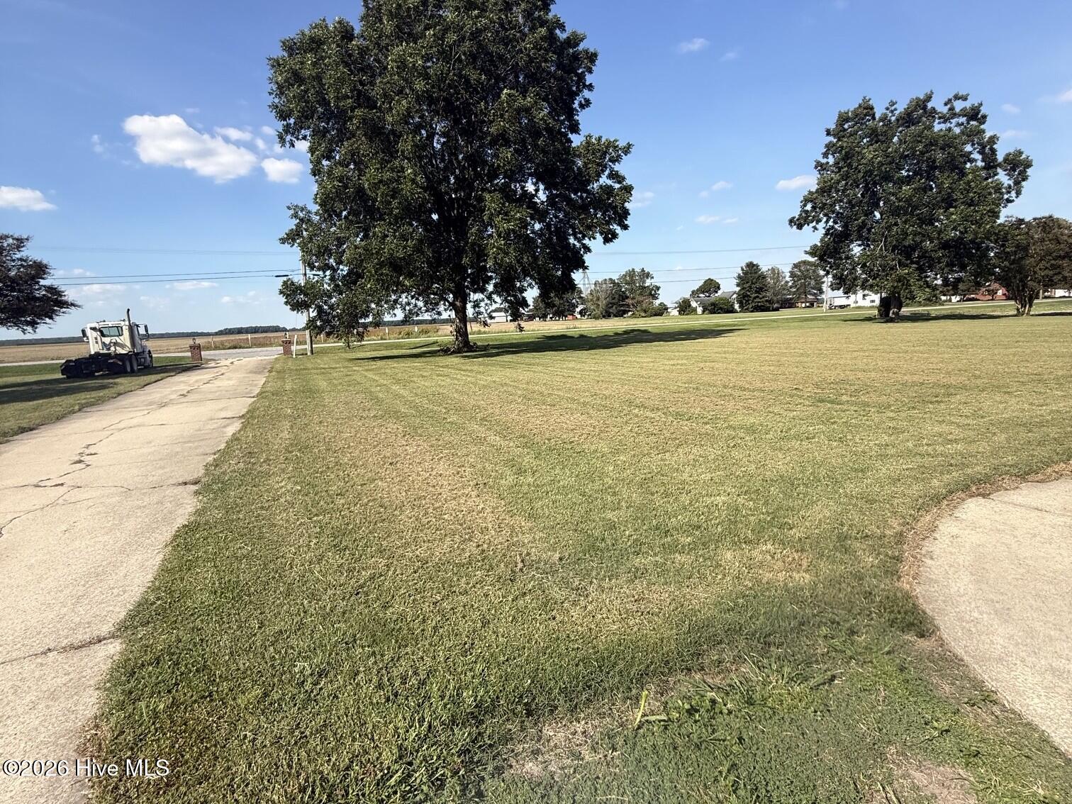Front Yard & Driveway