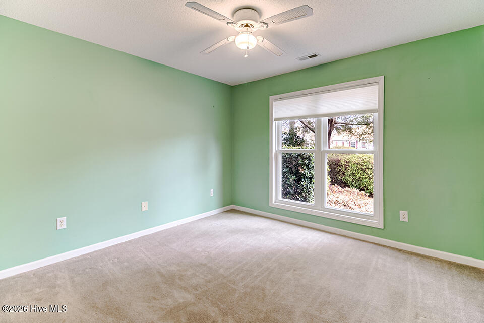 100553077 | Photo 24