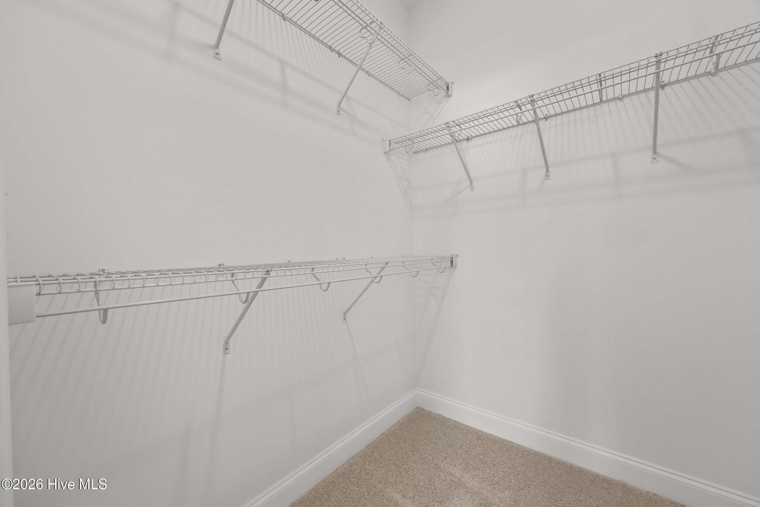 100549370 | Photo 24