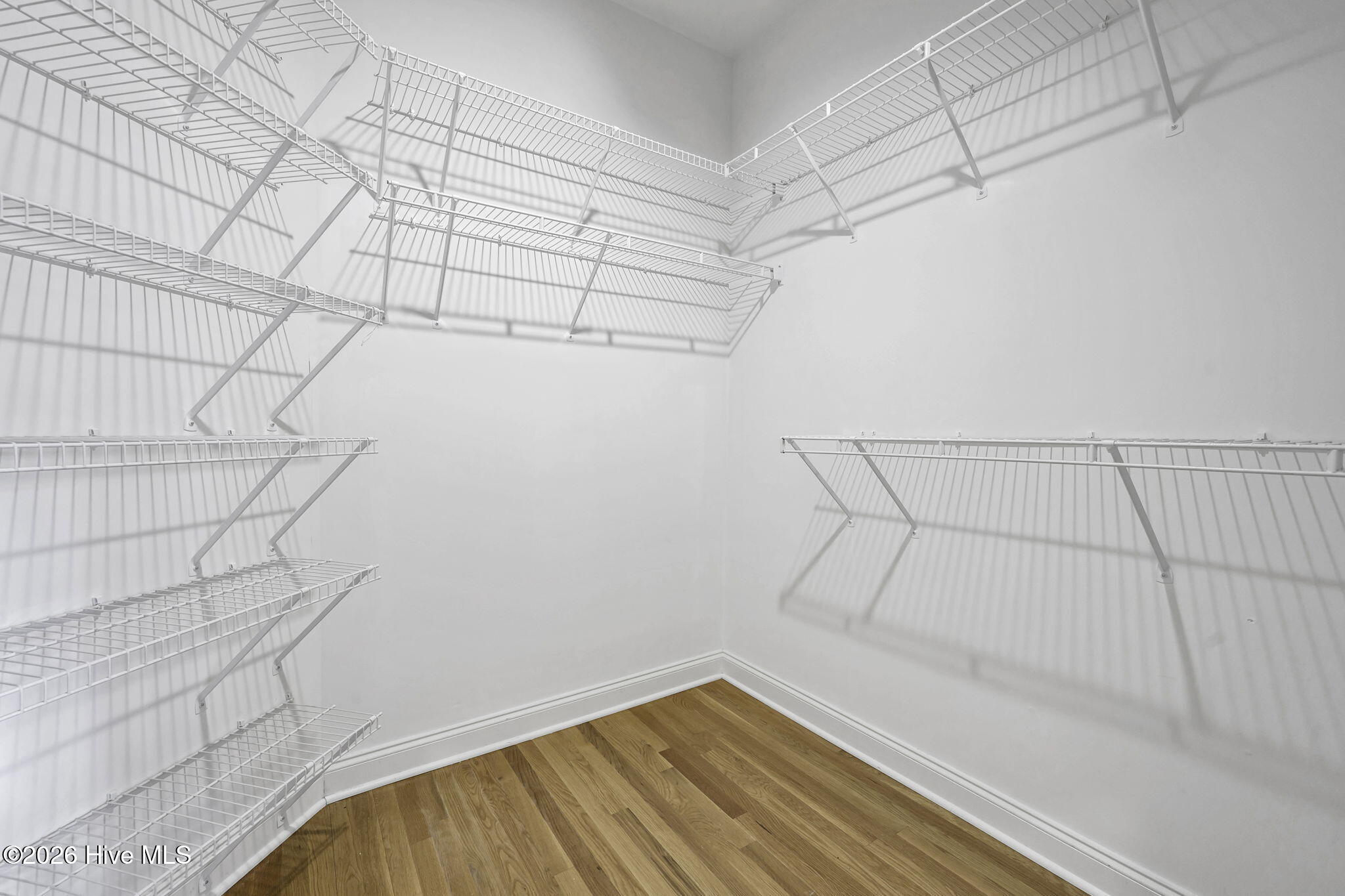 100557033 | Photo 23