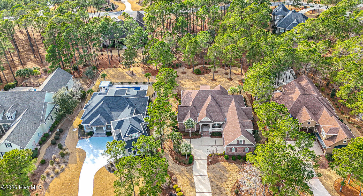 100552025 | Photo 77