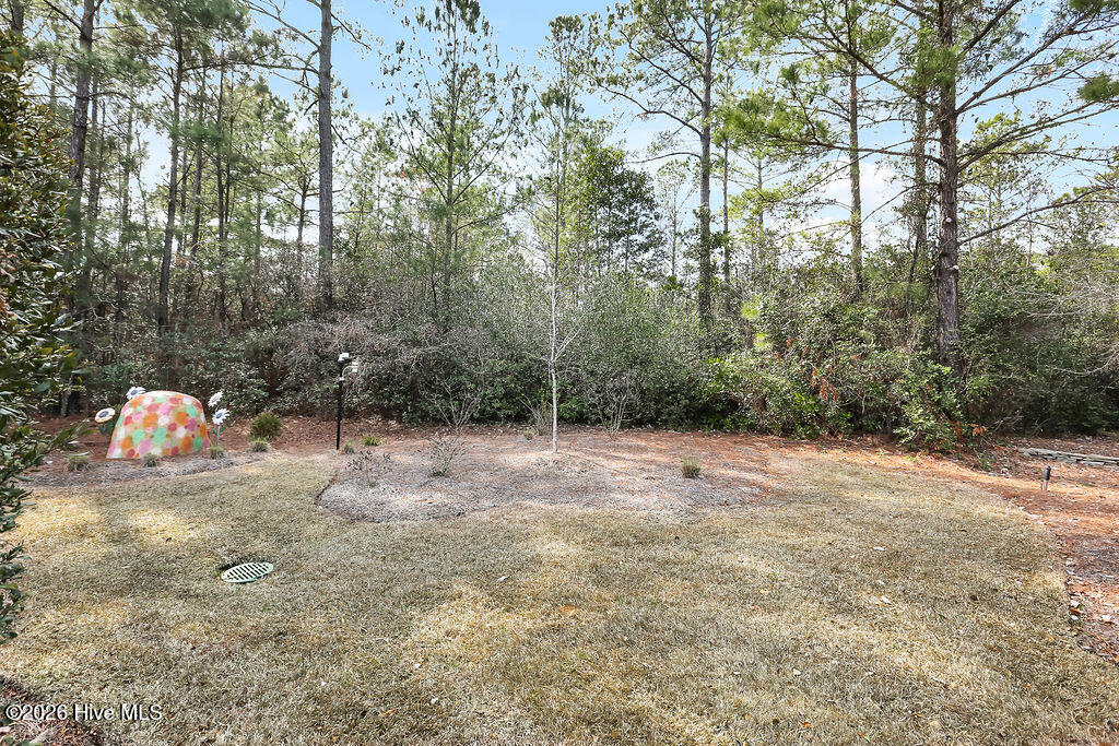 100548295 | Photo 54