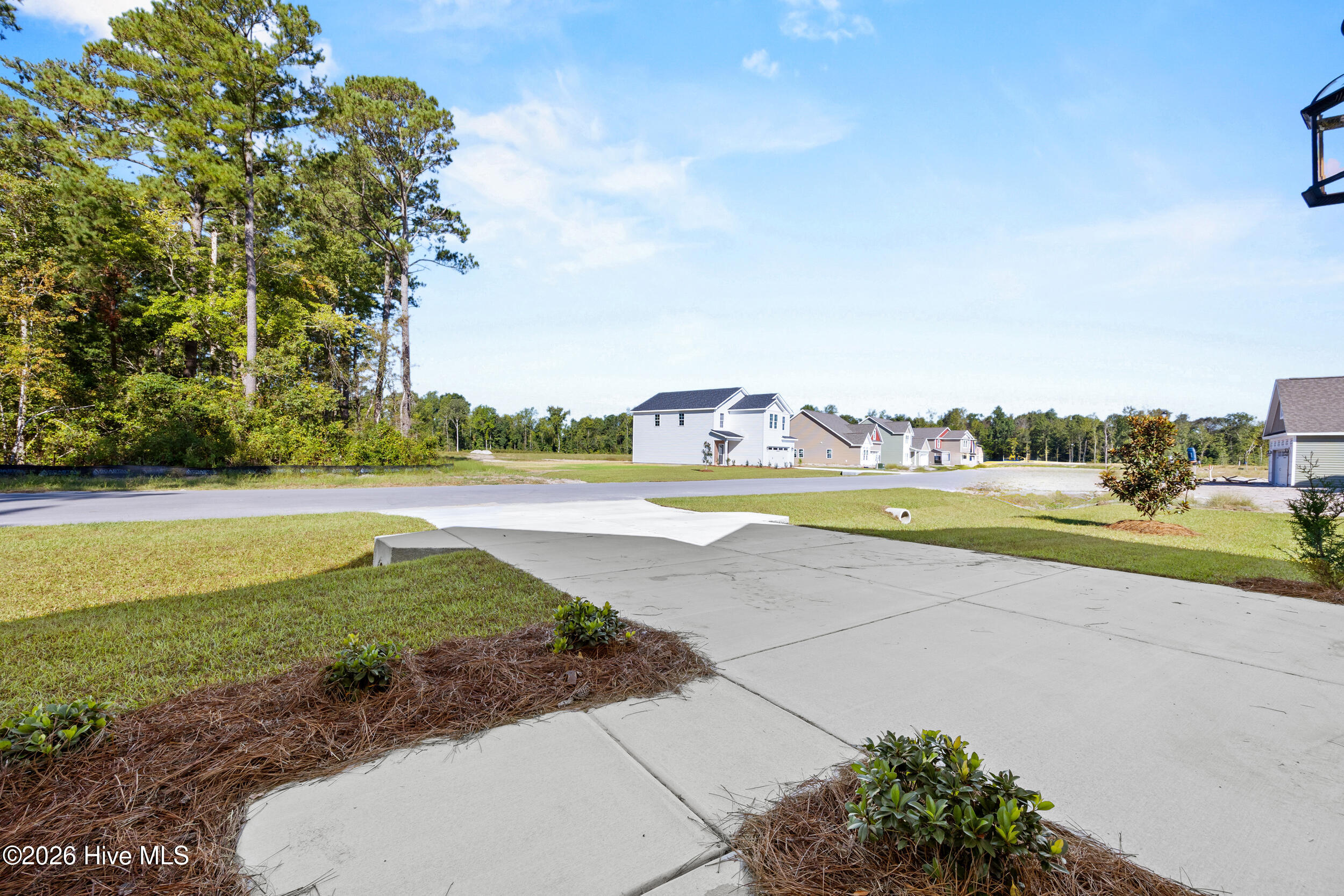 Front Yard