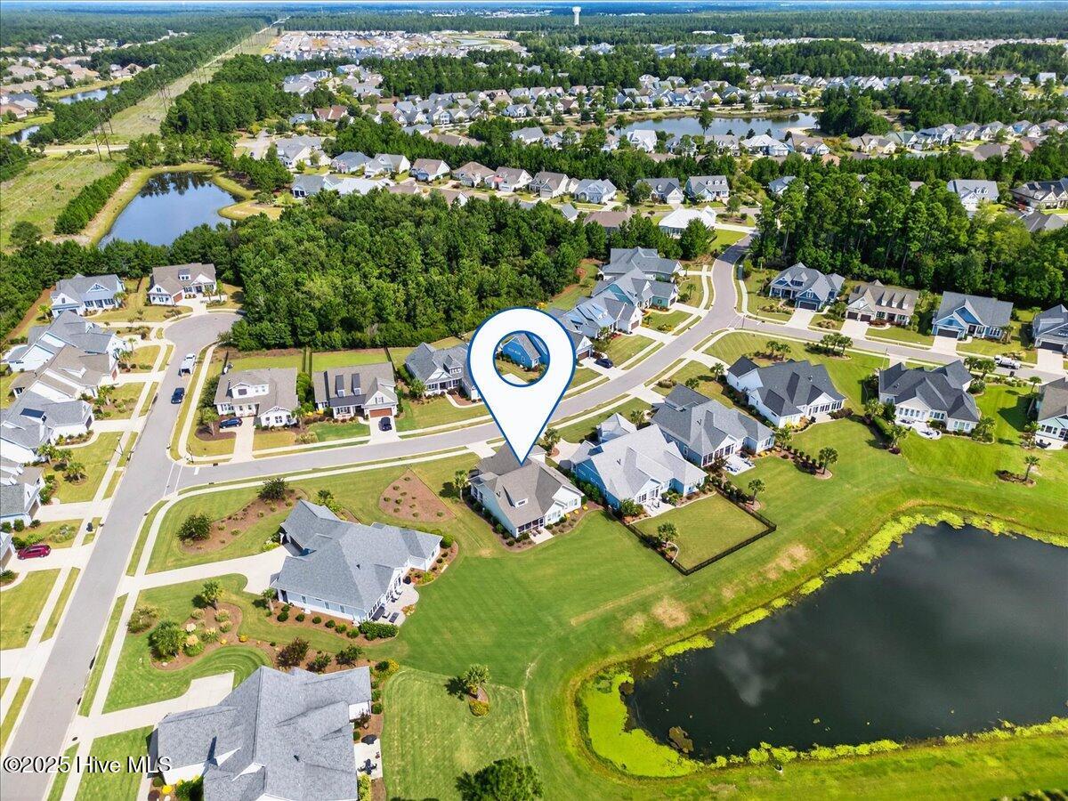 100537556 | Photo 54