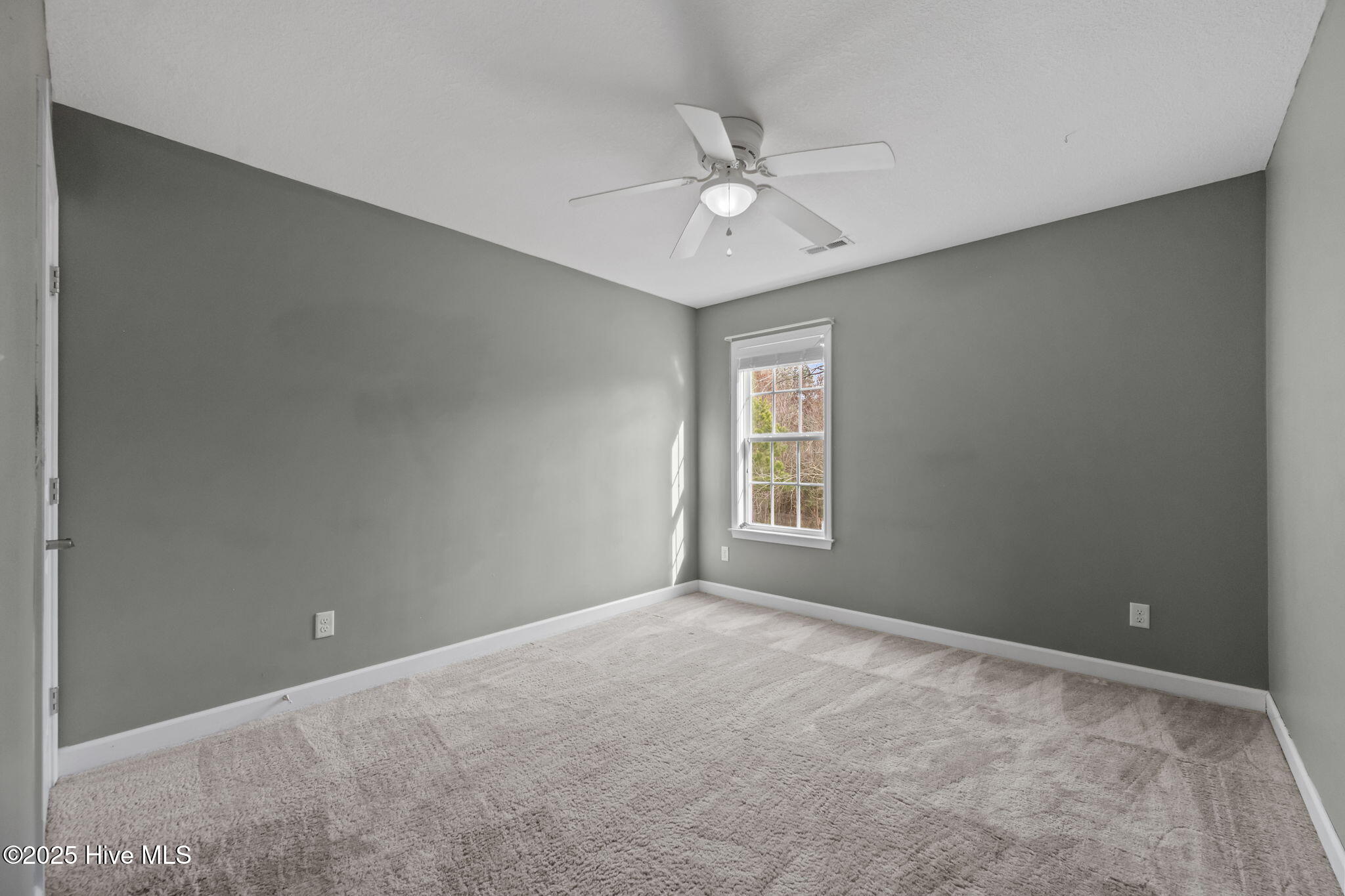 100546071 | Photo 48