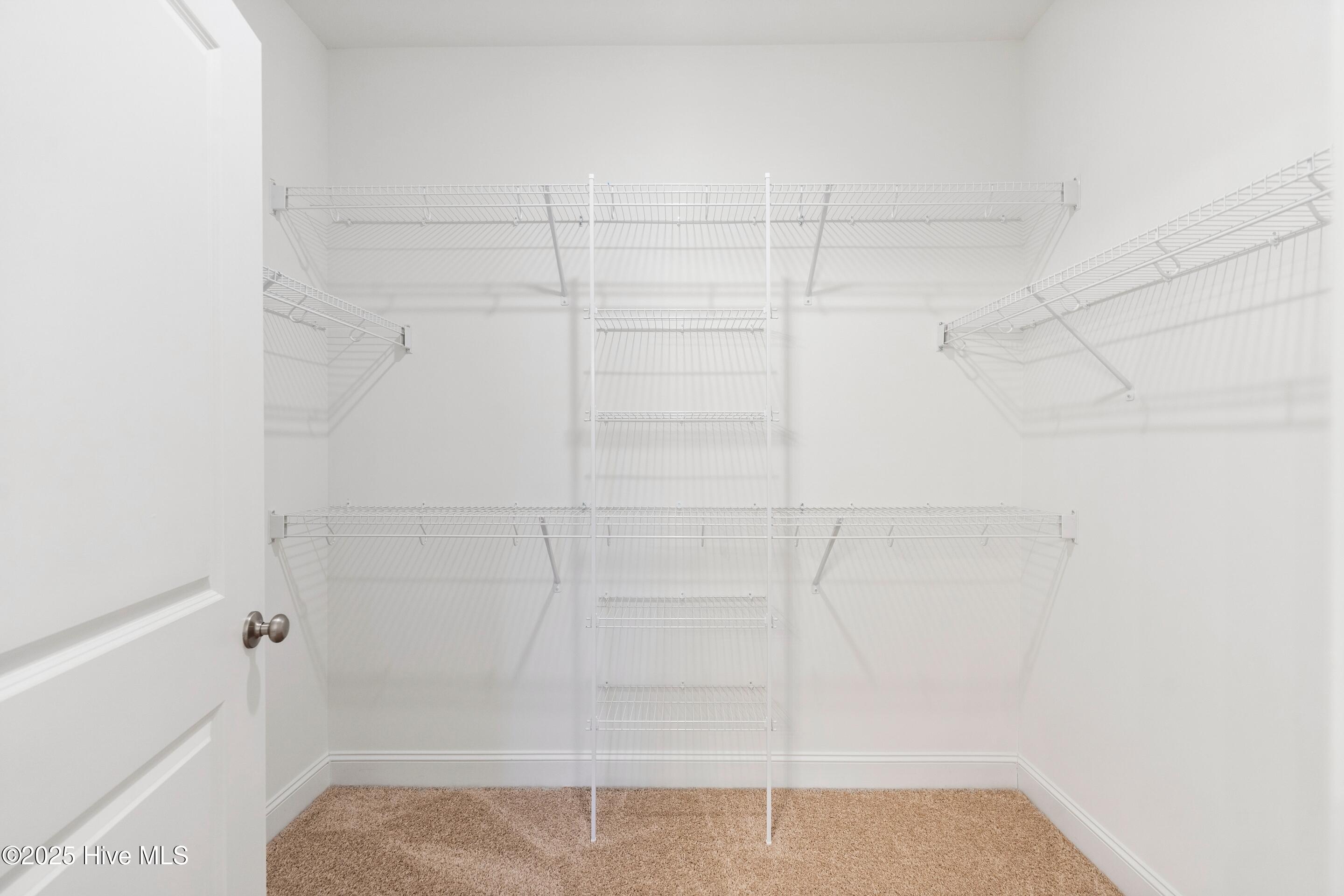 100543354 | Photo 37