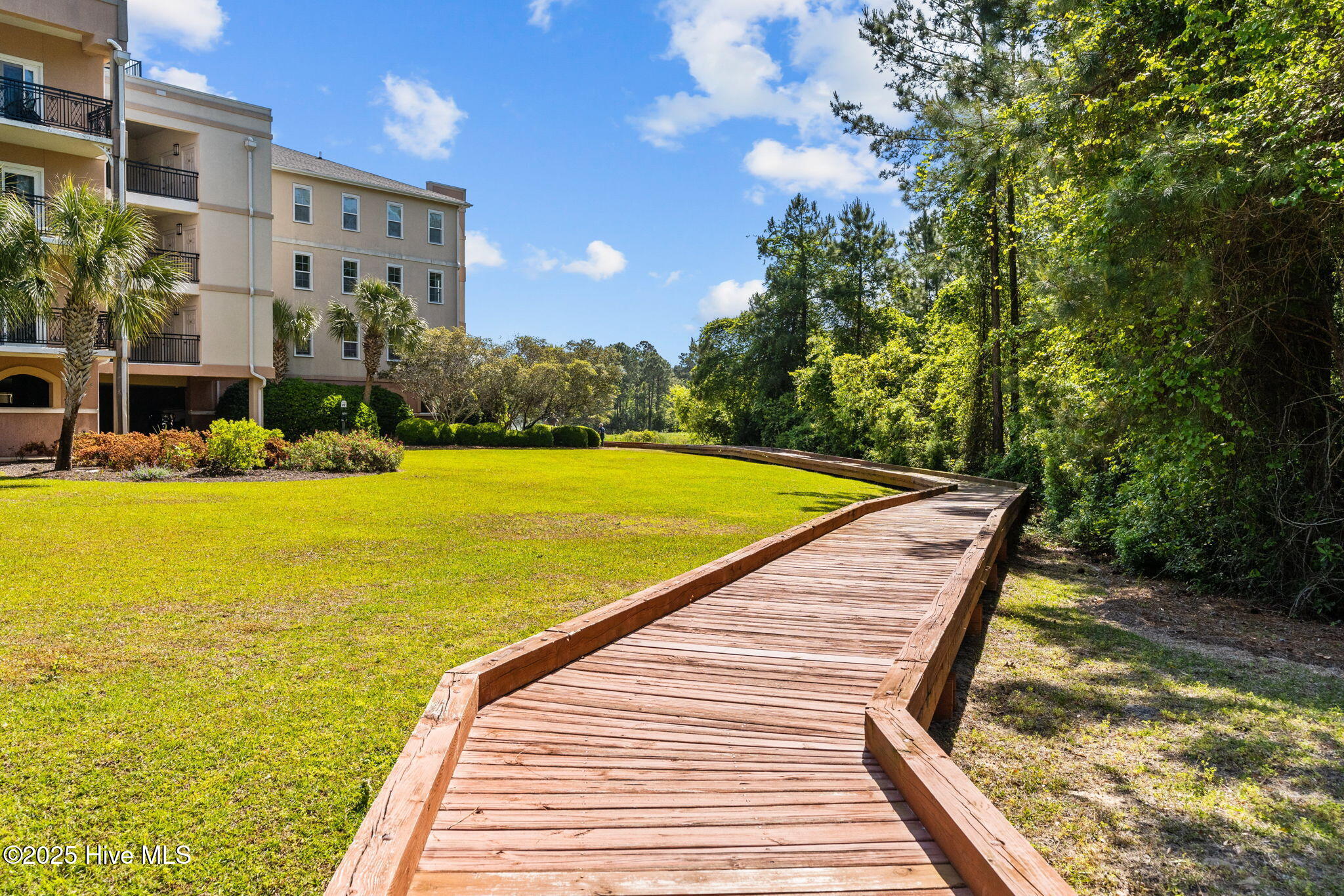 100535787 | Photo 81