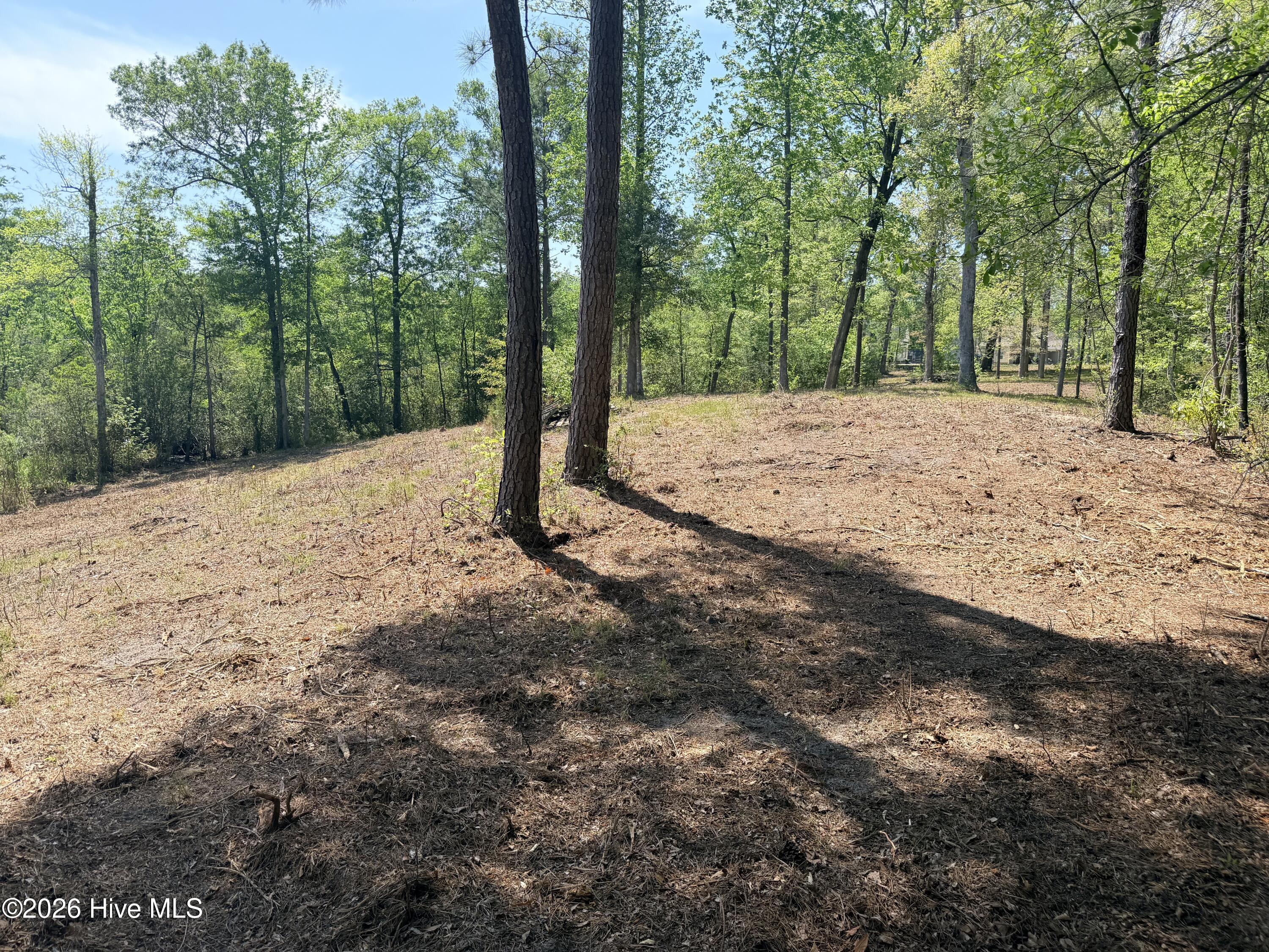 100568145 | Photo 13