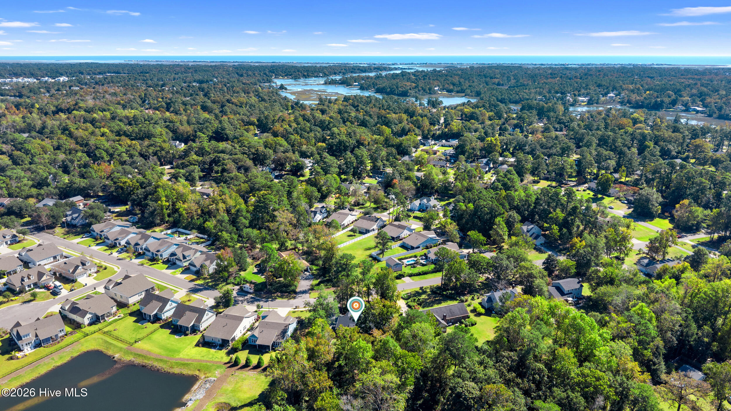 100555563 | Photo 47