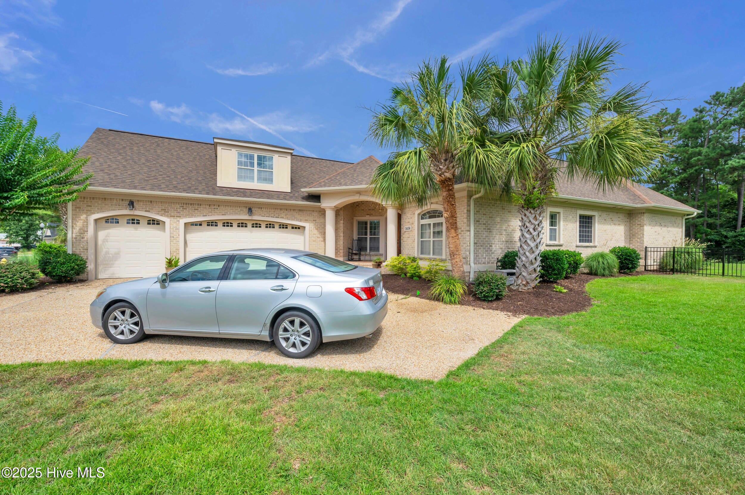 1414 serrulata dr-00003