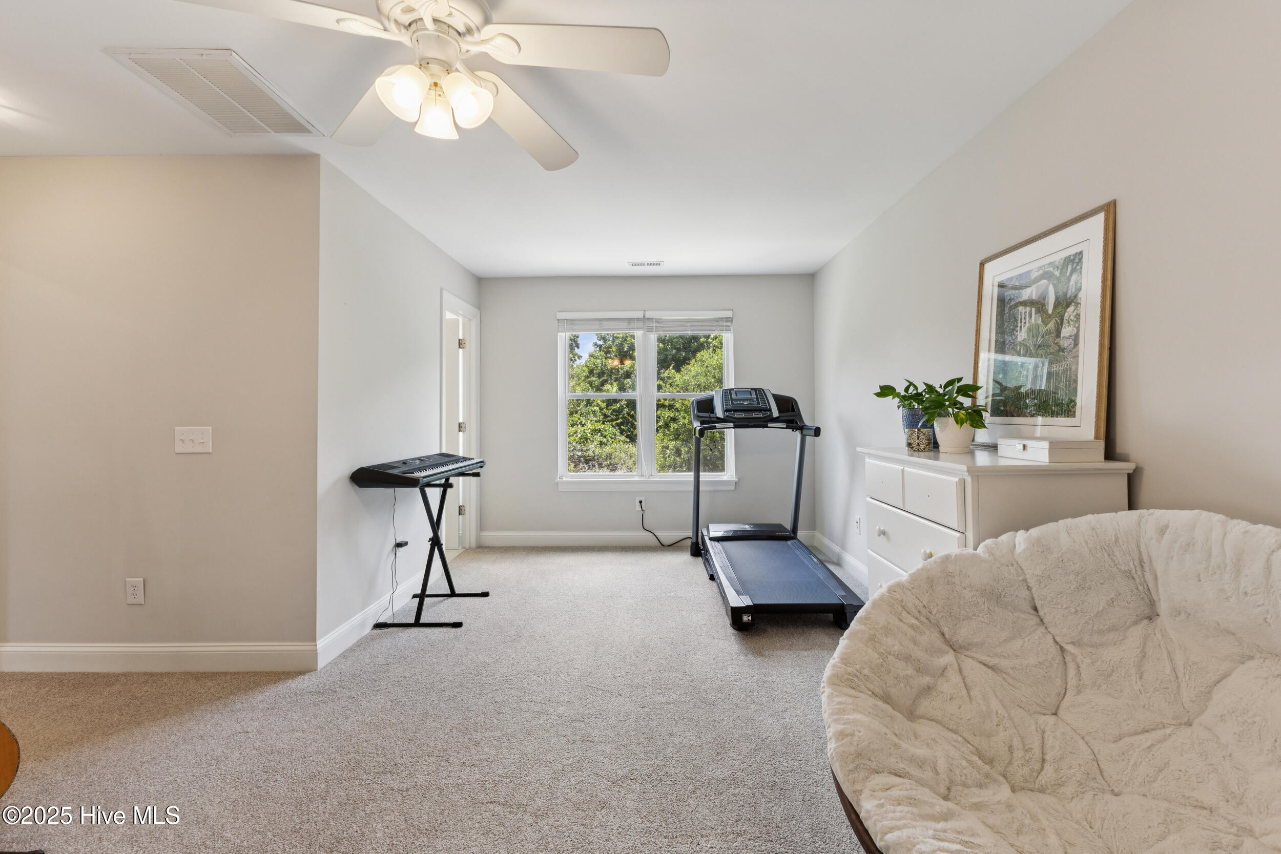 107 N Stargazer Court, Hampstead, NC 28443 – photo 23: Bonus Room #1