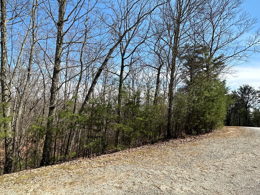 Exterior photo of LT29 Wilderness Creek Way, Murphy, NC 28906. MLS: 98543802