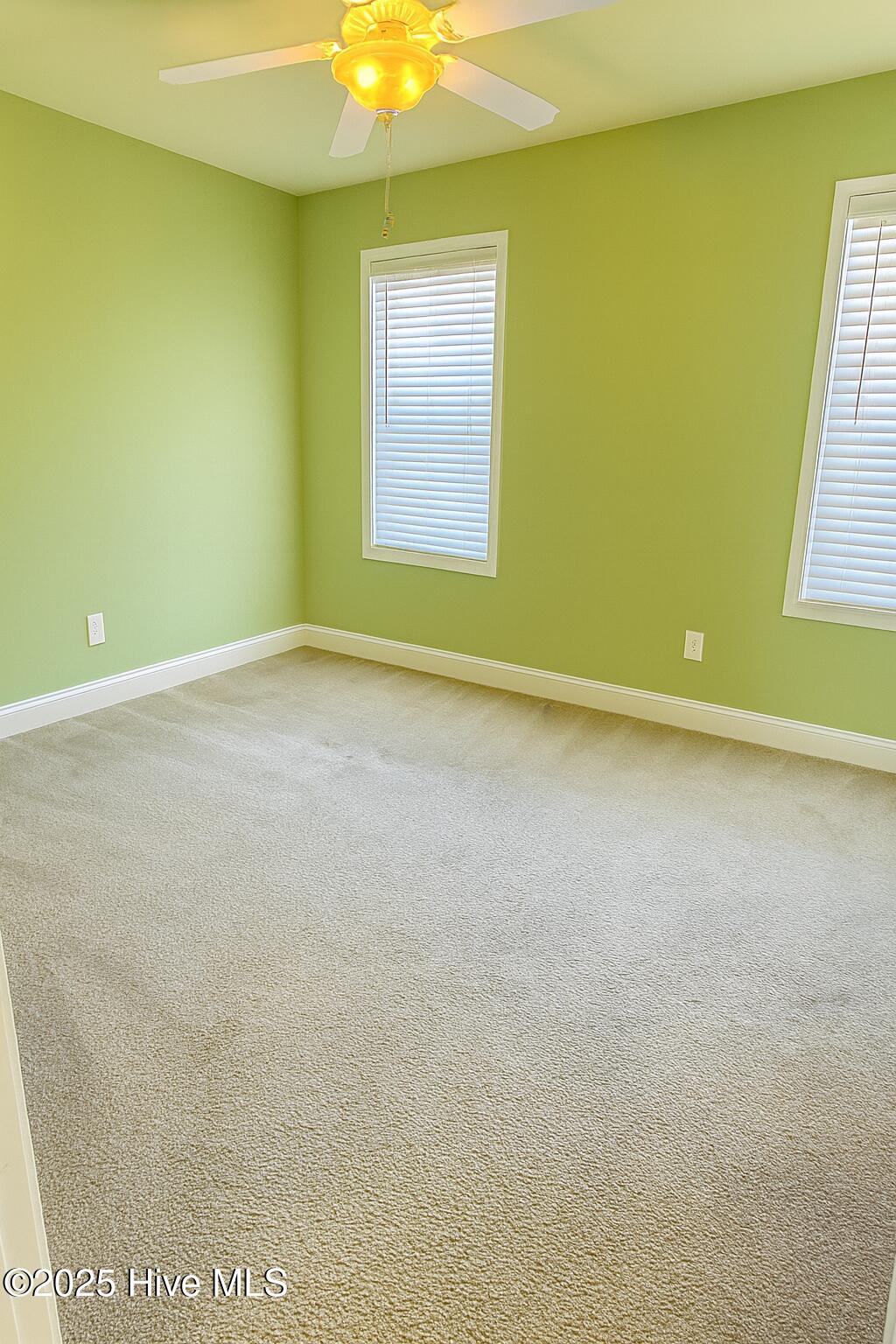 100537389 | Photo 28