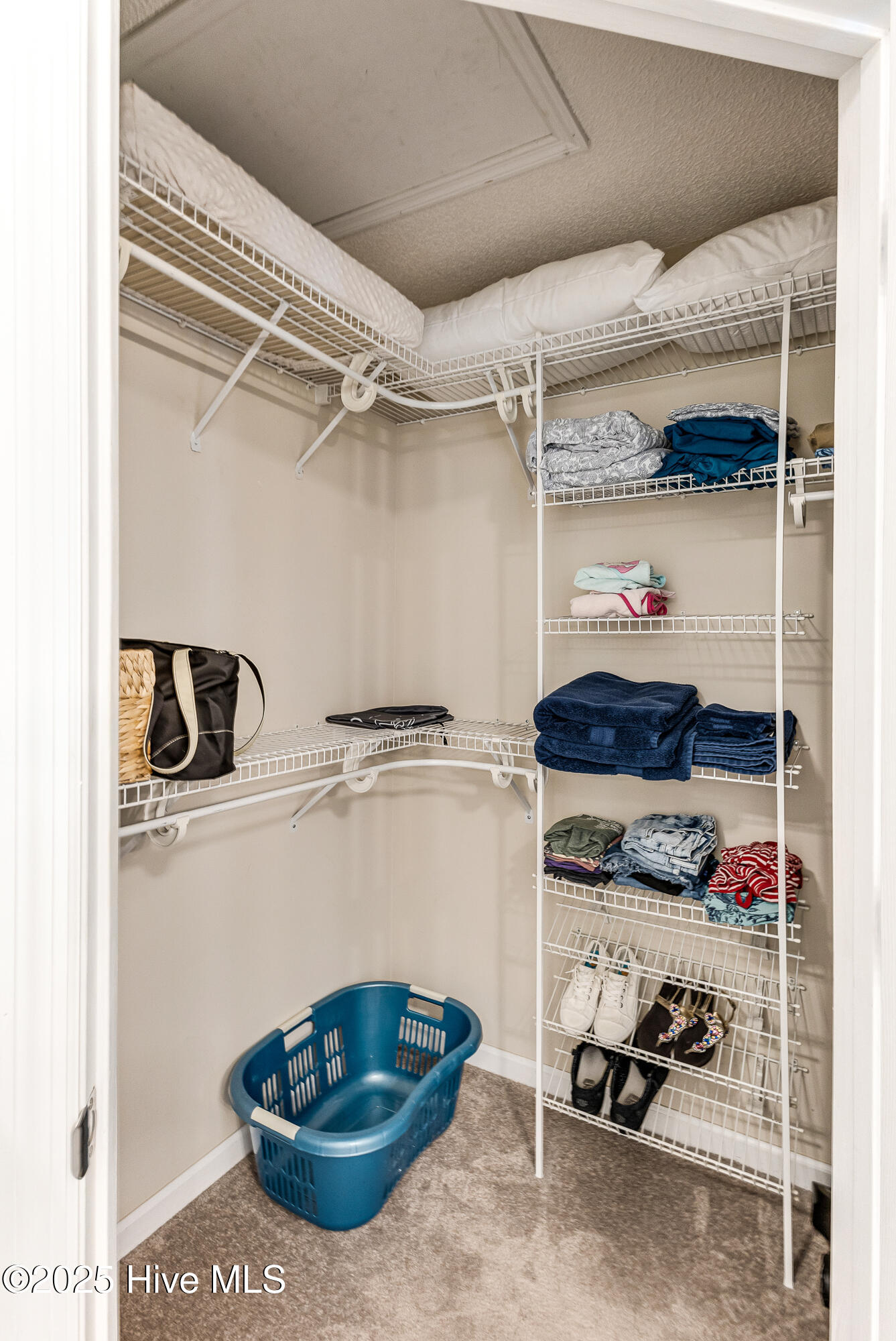 100523594 | Photo 19