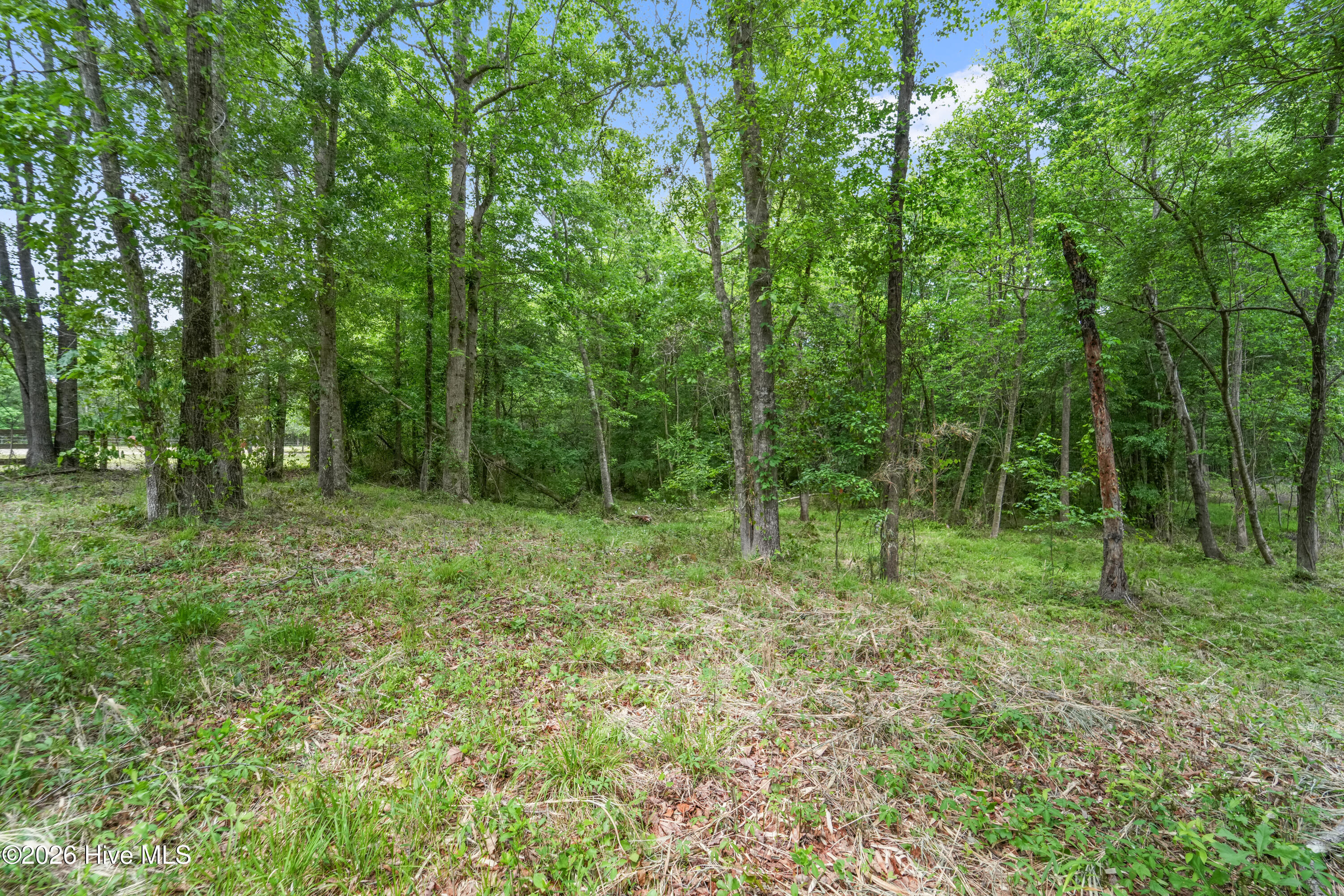 100570687 | Photo 40