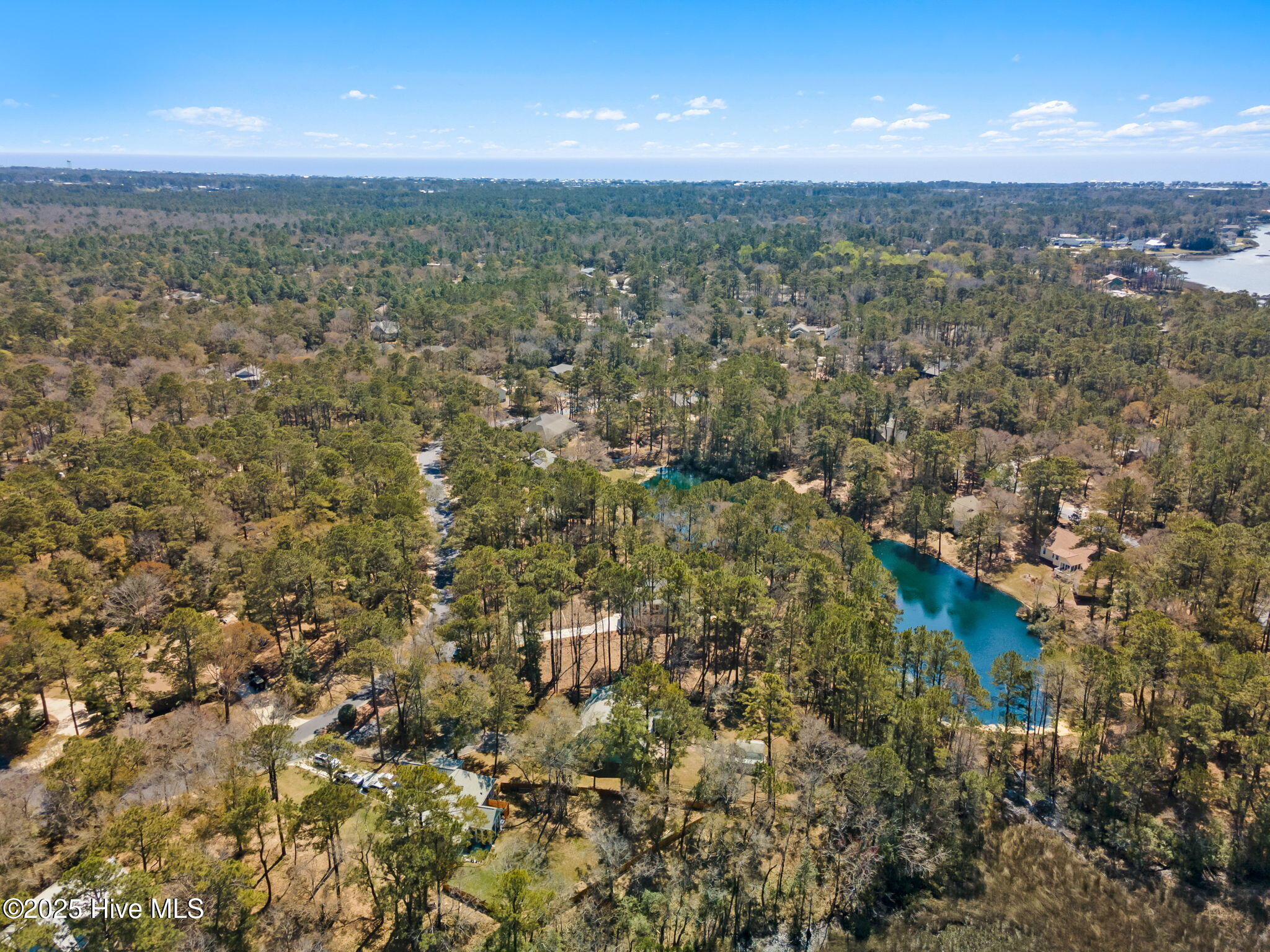 100497735 | Photo 50