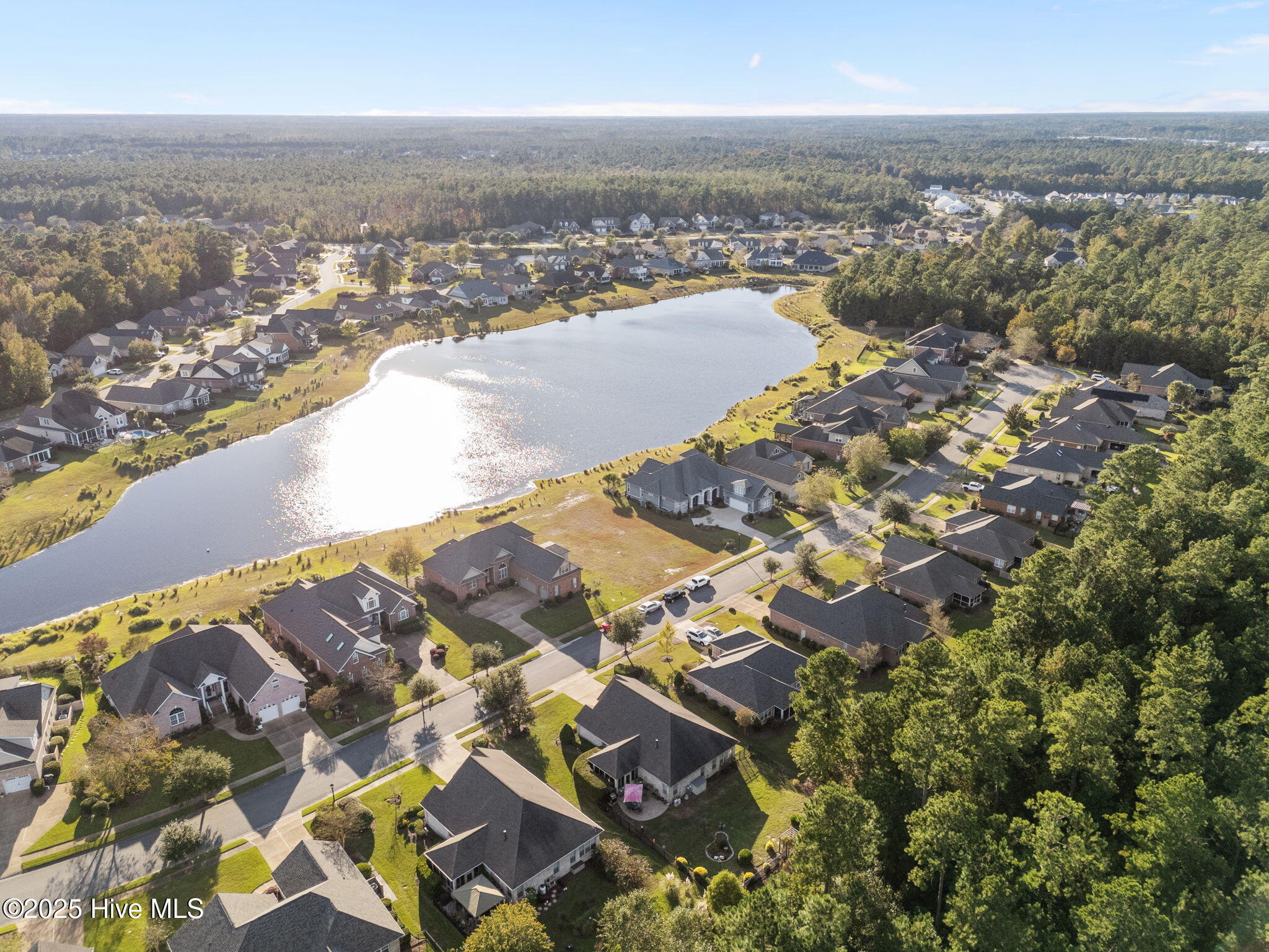 100538493 | Photo 73