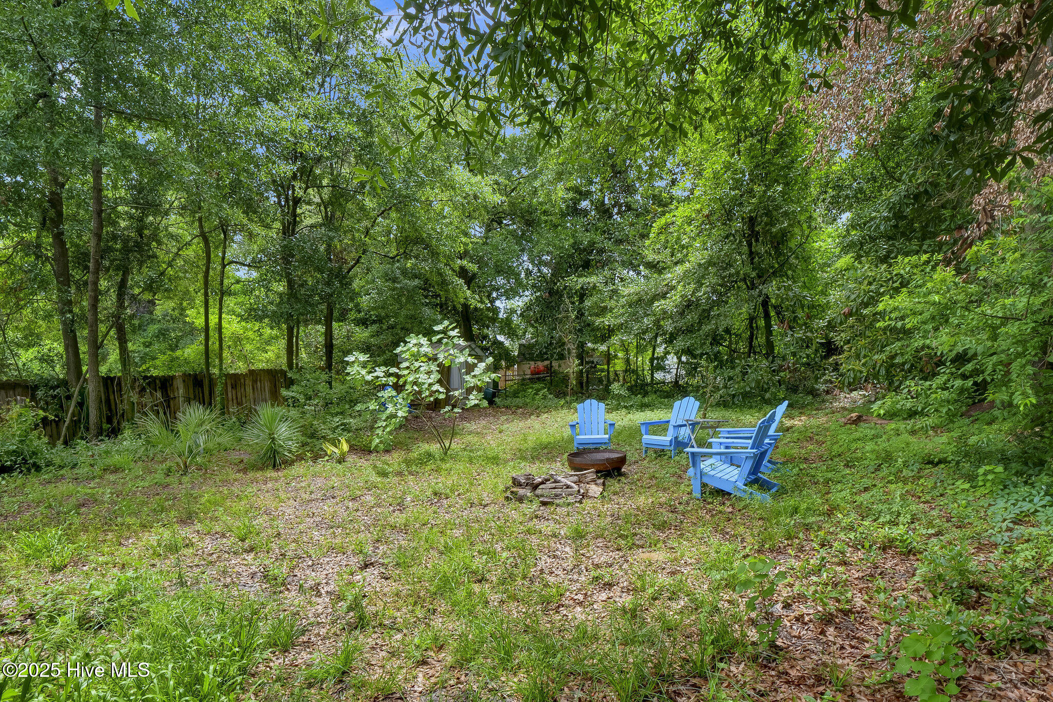 100513578 | Photo 24