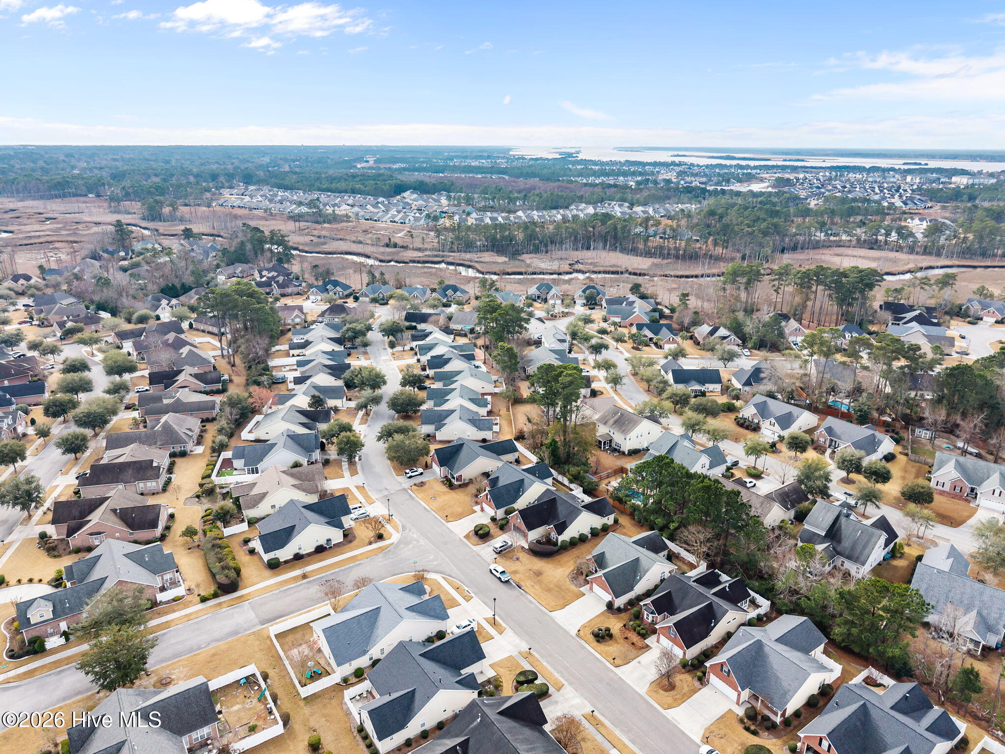 100549598 | Photo 54