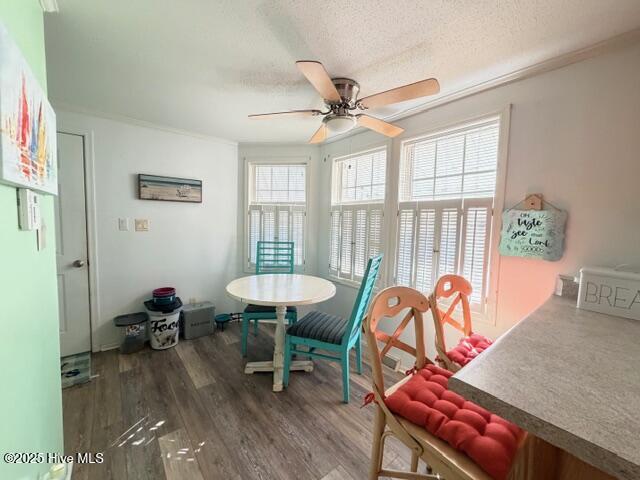 100546387 | Photo 48