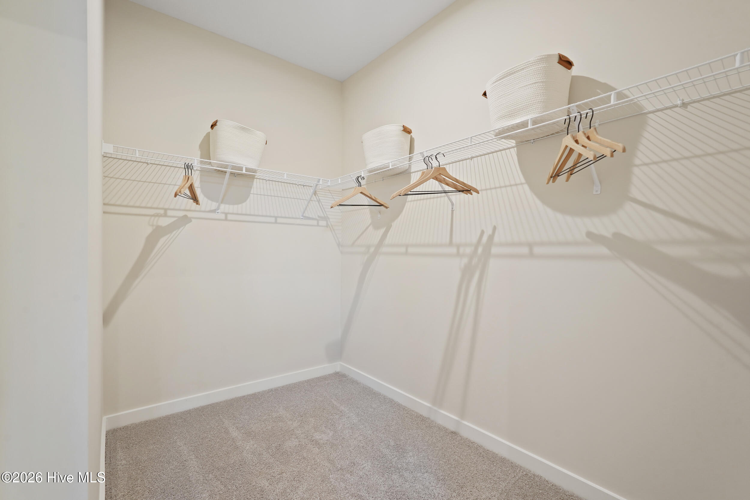 100554470 | Photo 24