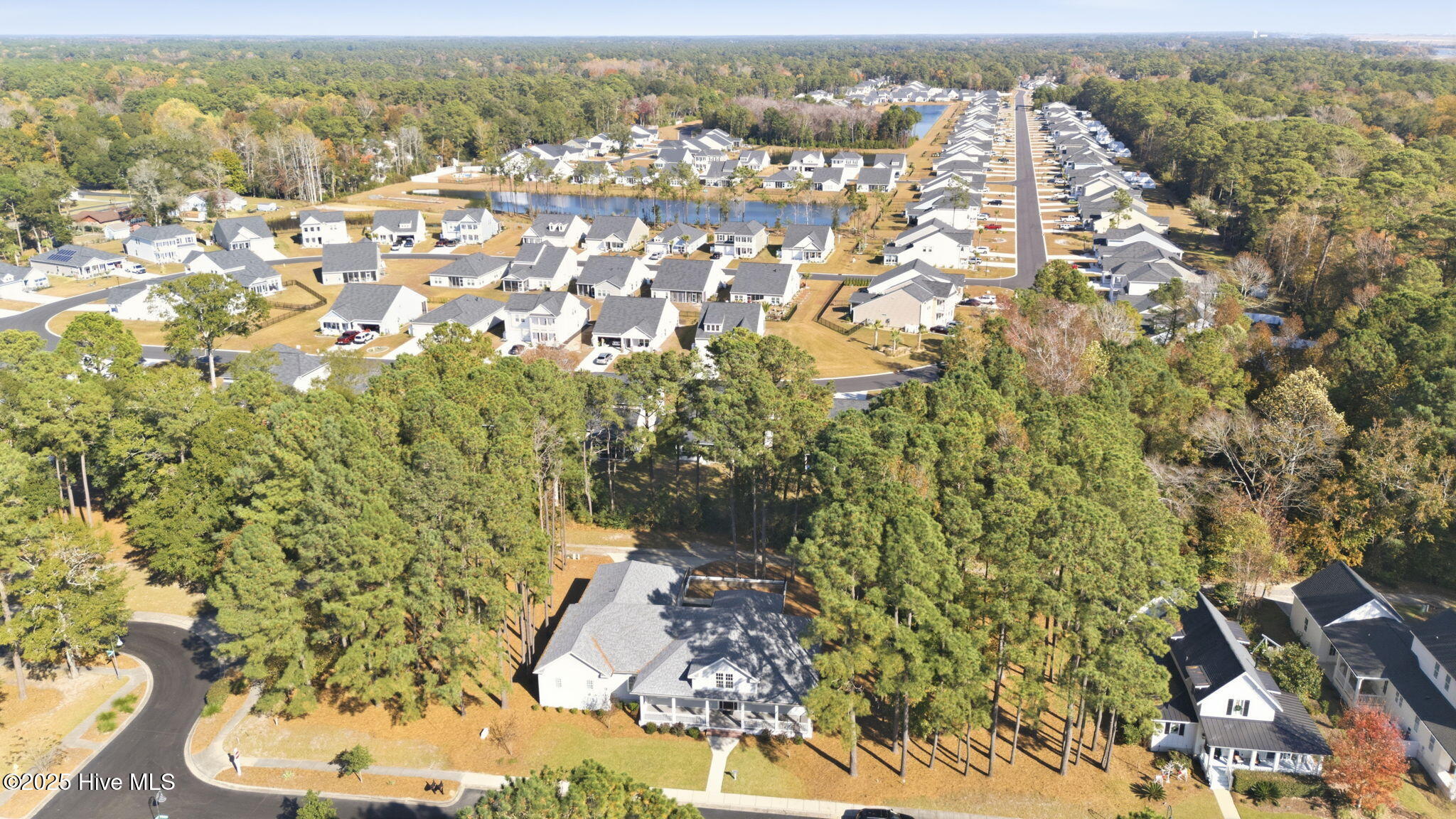 100535585 | Photo 74