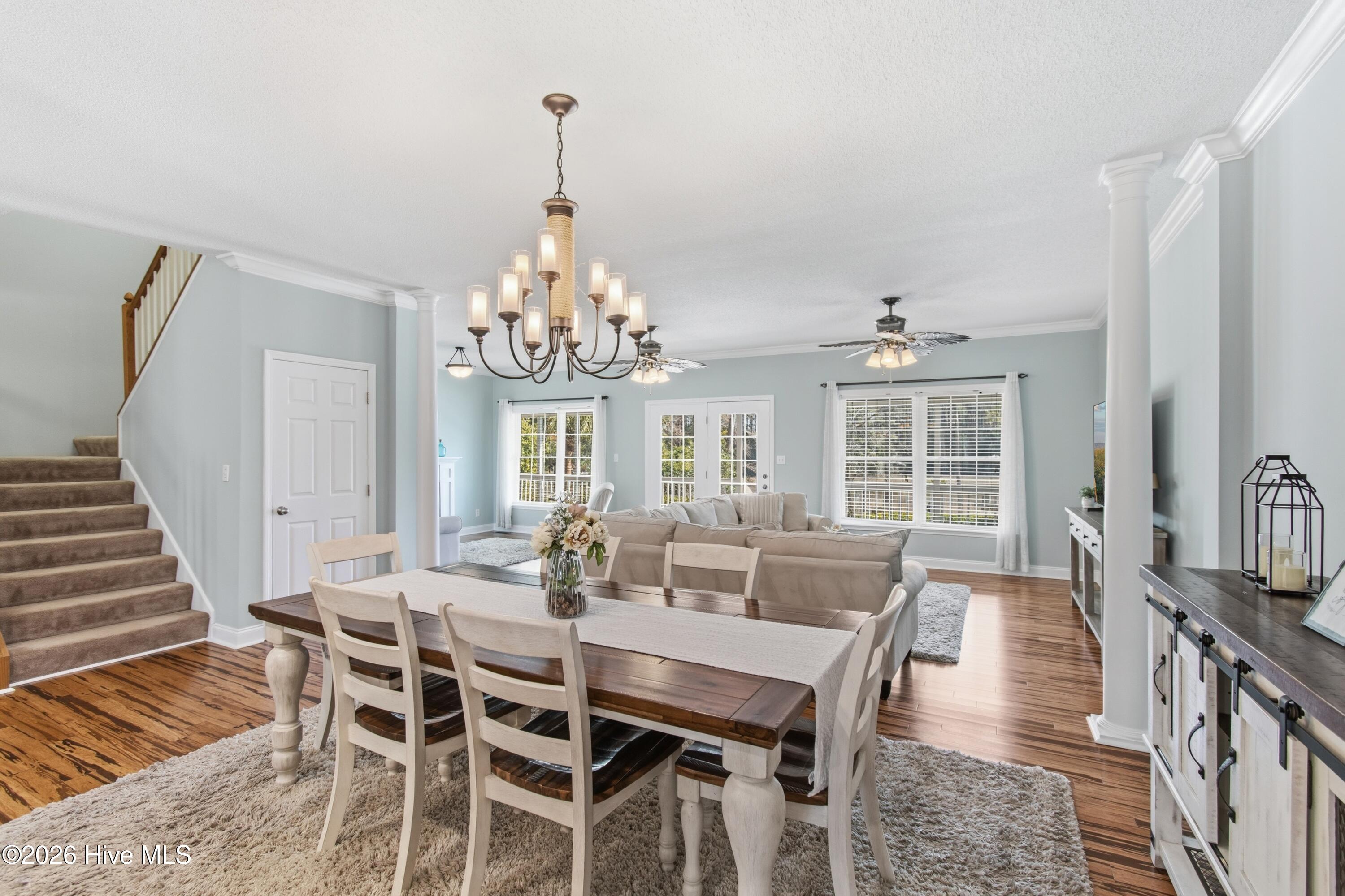 100556655 | Photo 23