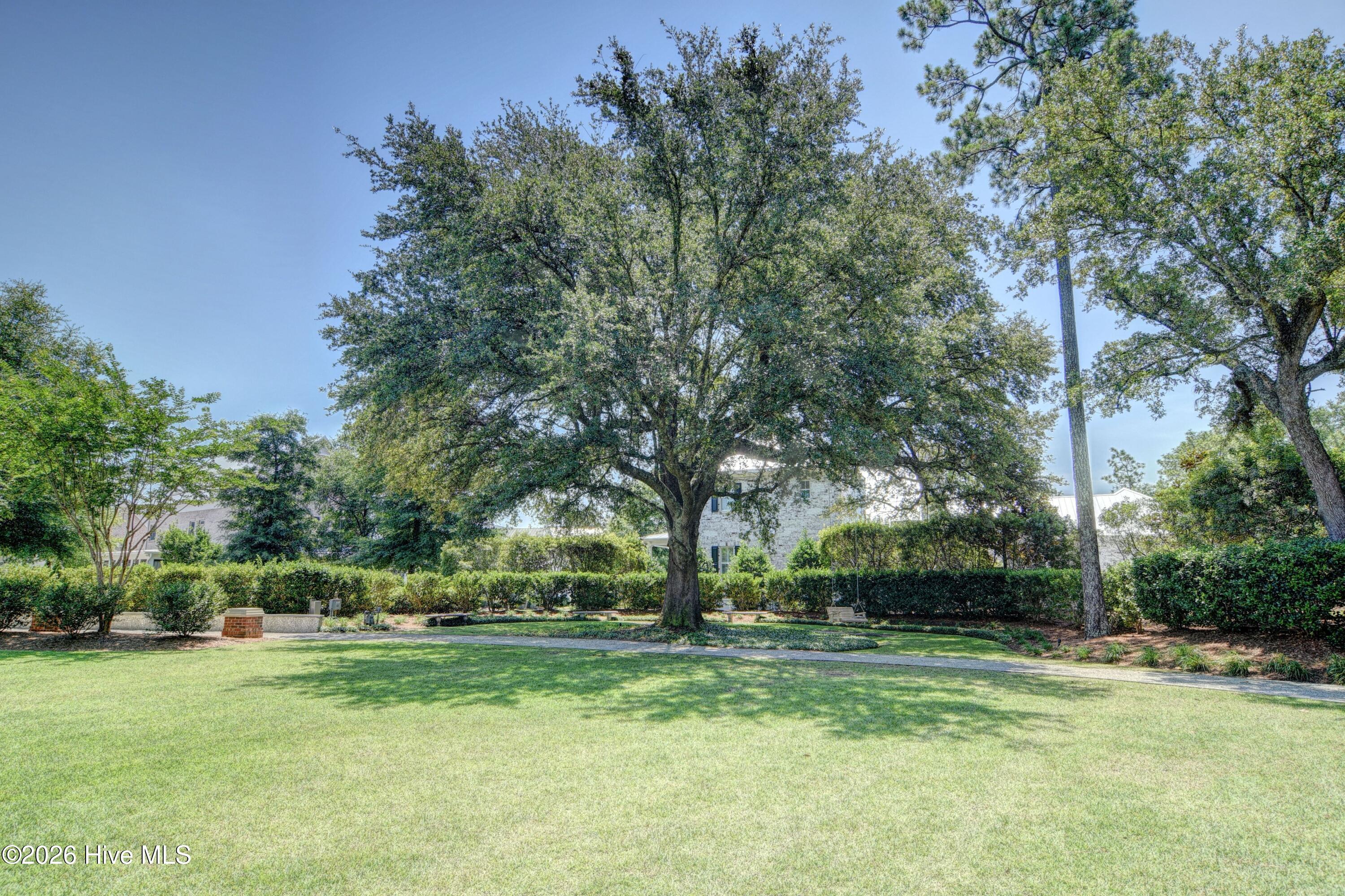 100549123 | Photo 46