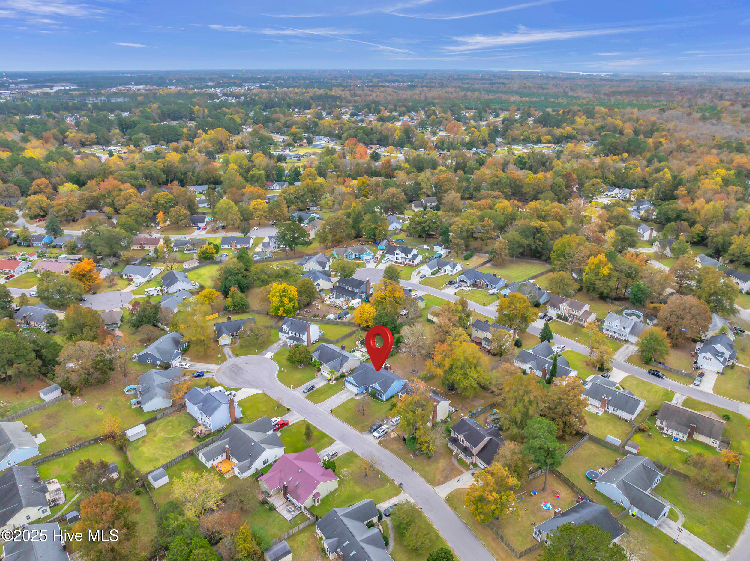 100540534 | Photo 39