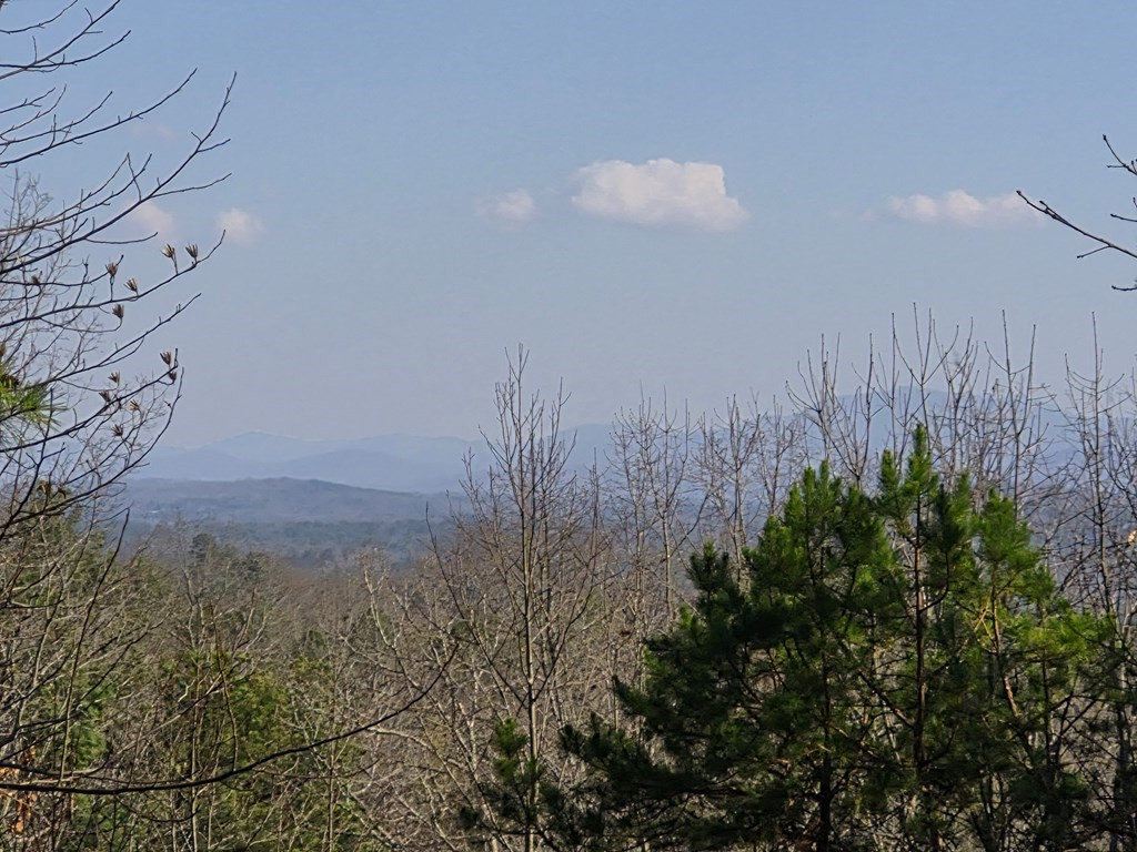 88 Meadowlark Terrace, Murphy, NC 28906 Listing Photo  13