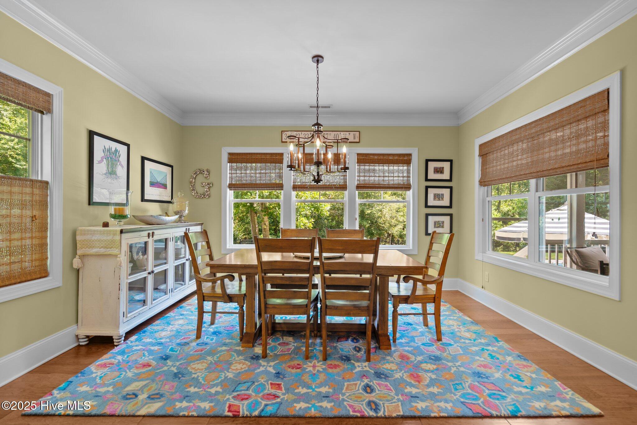 100518036 | Photo 13