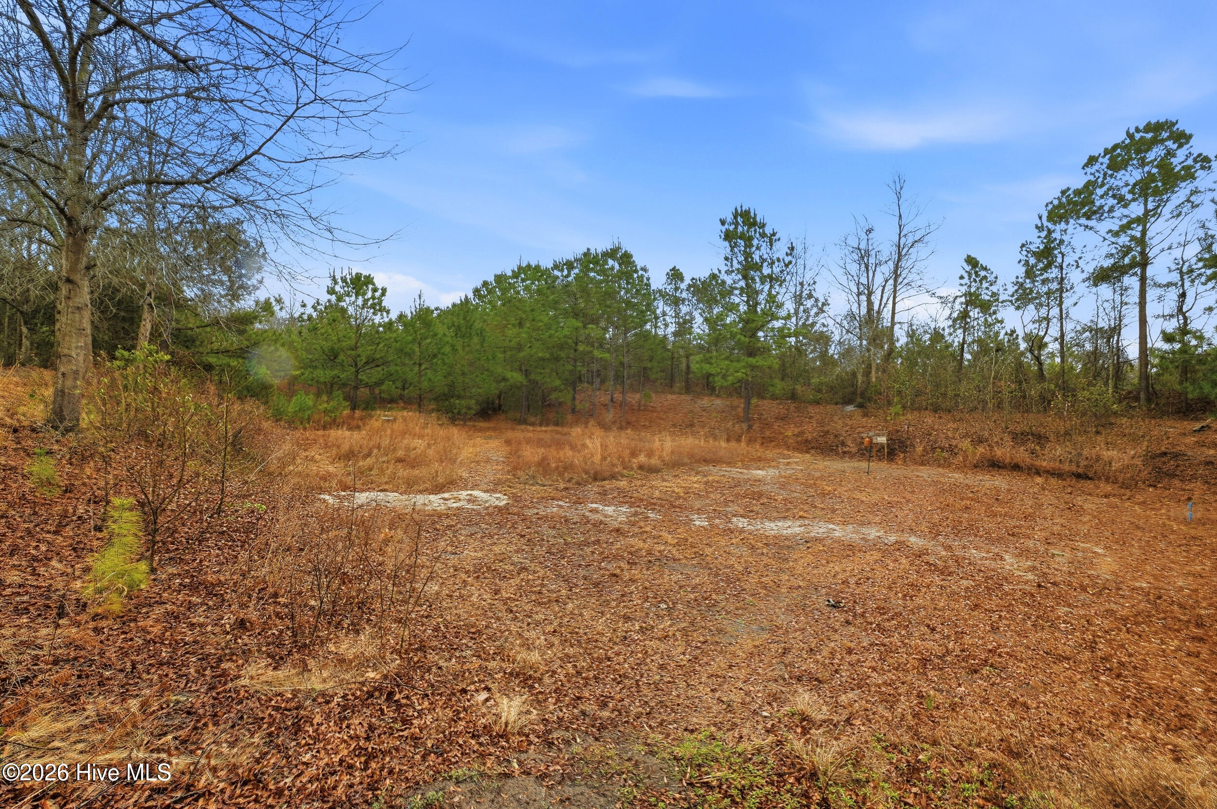 100557508 | Photo 35