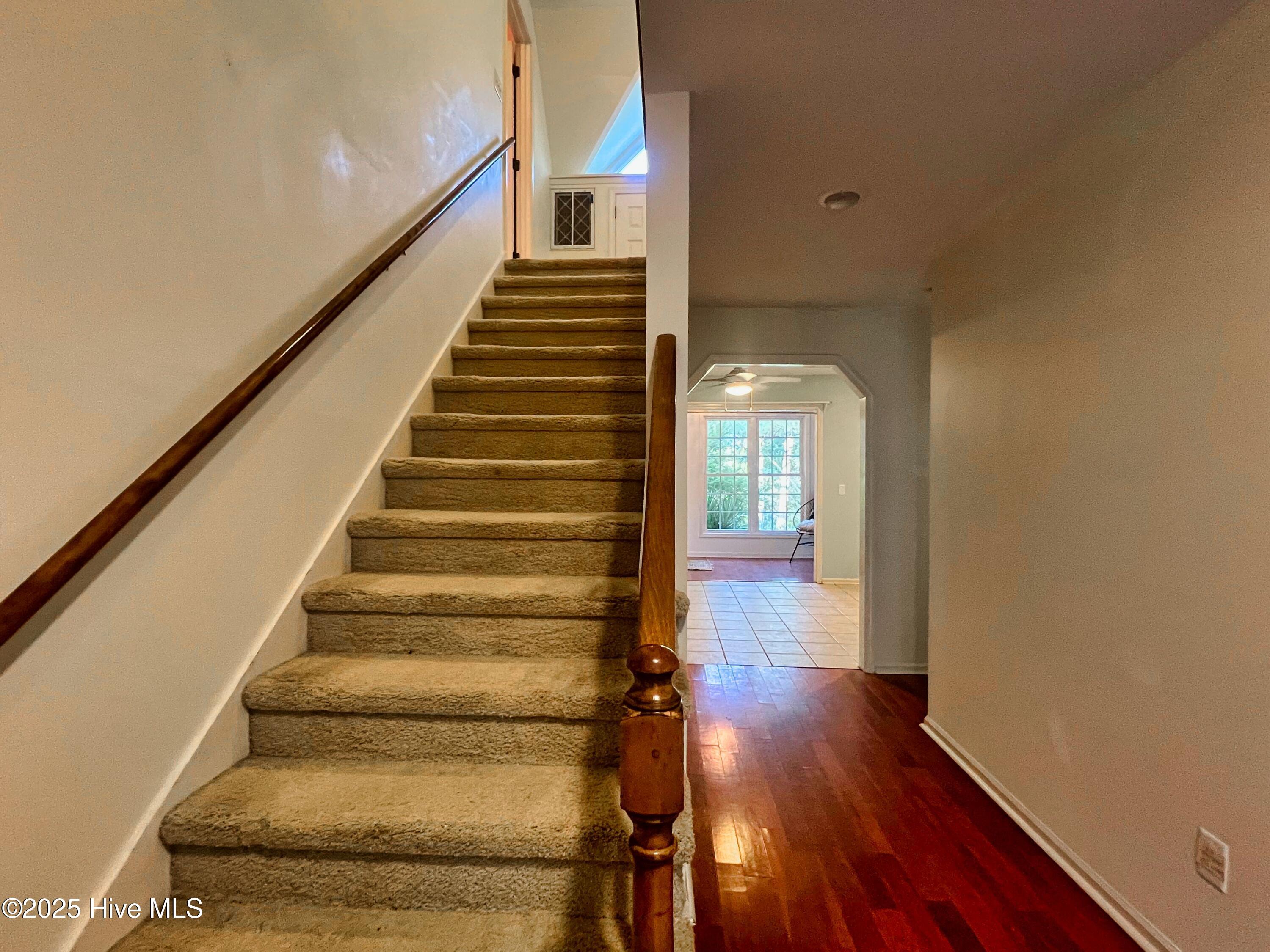 100521049 | Photo 24