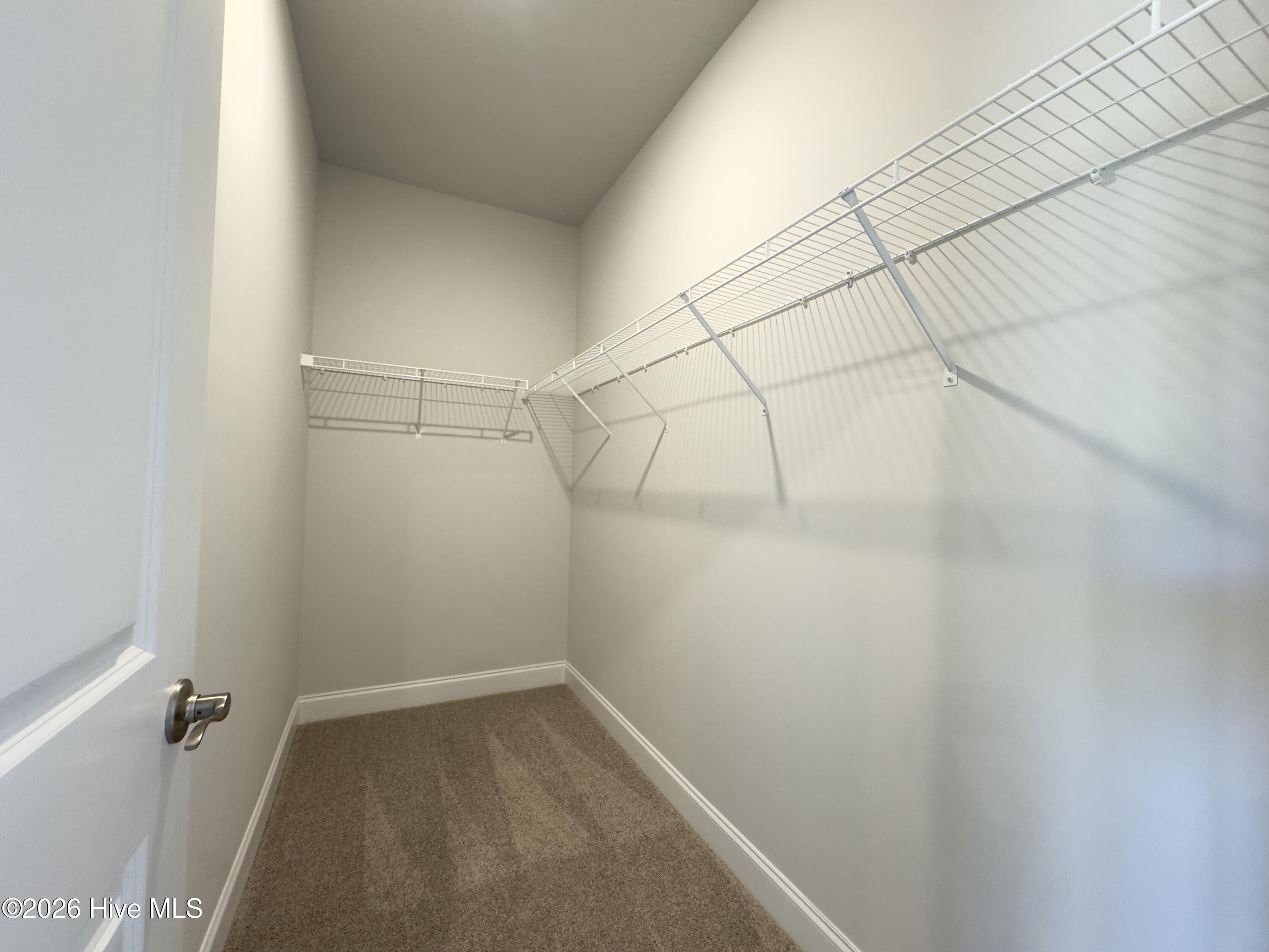 100563341 | Photo 13