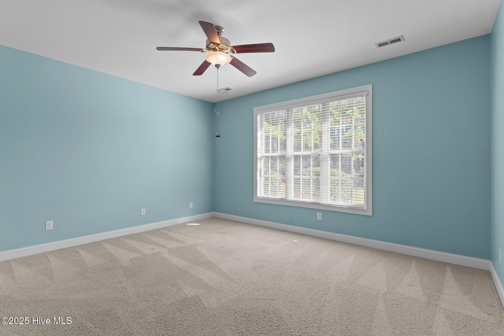 100541169 | Photo 18