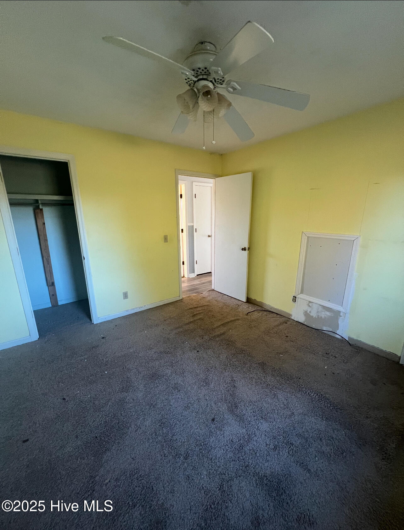 100545246 | Photo 15