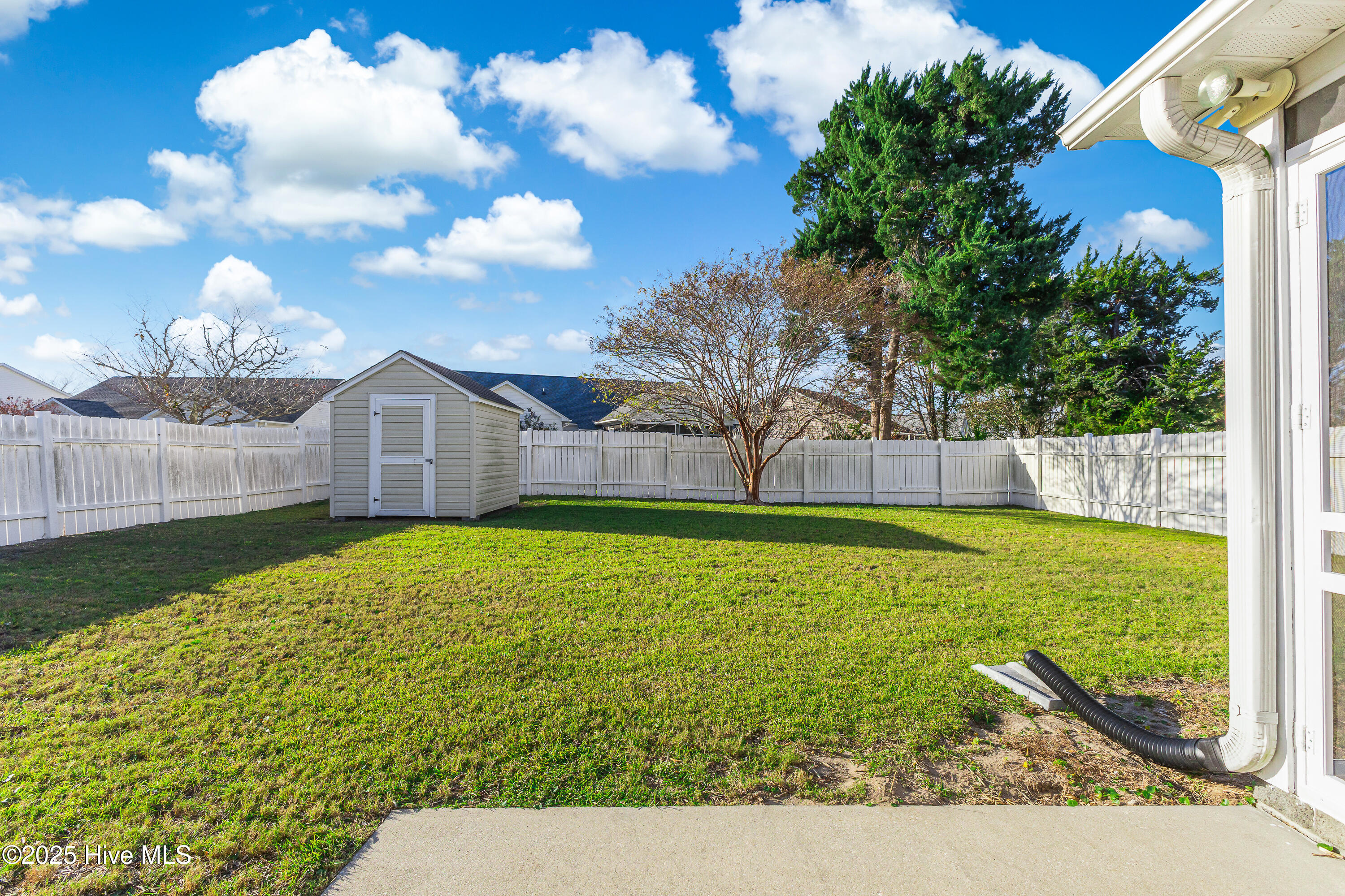 100541535 | Photo 28